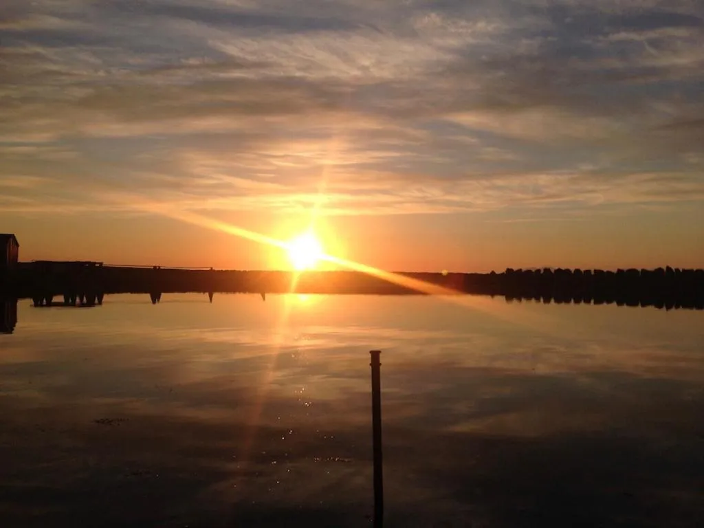 Villa Lofoten - Edvardbua