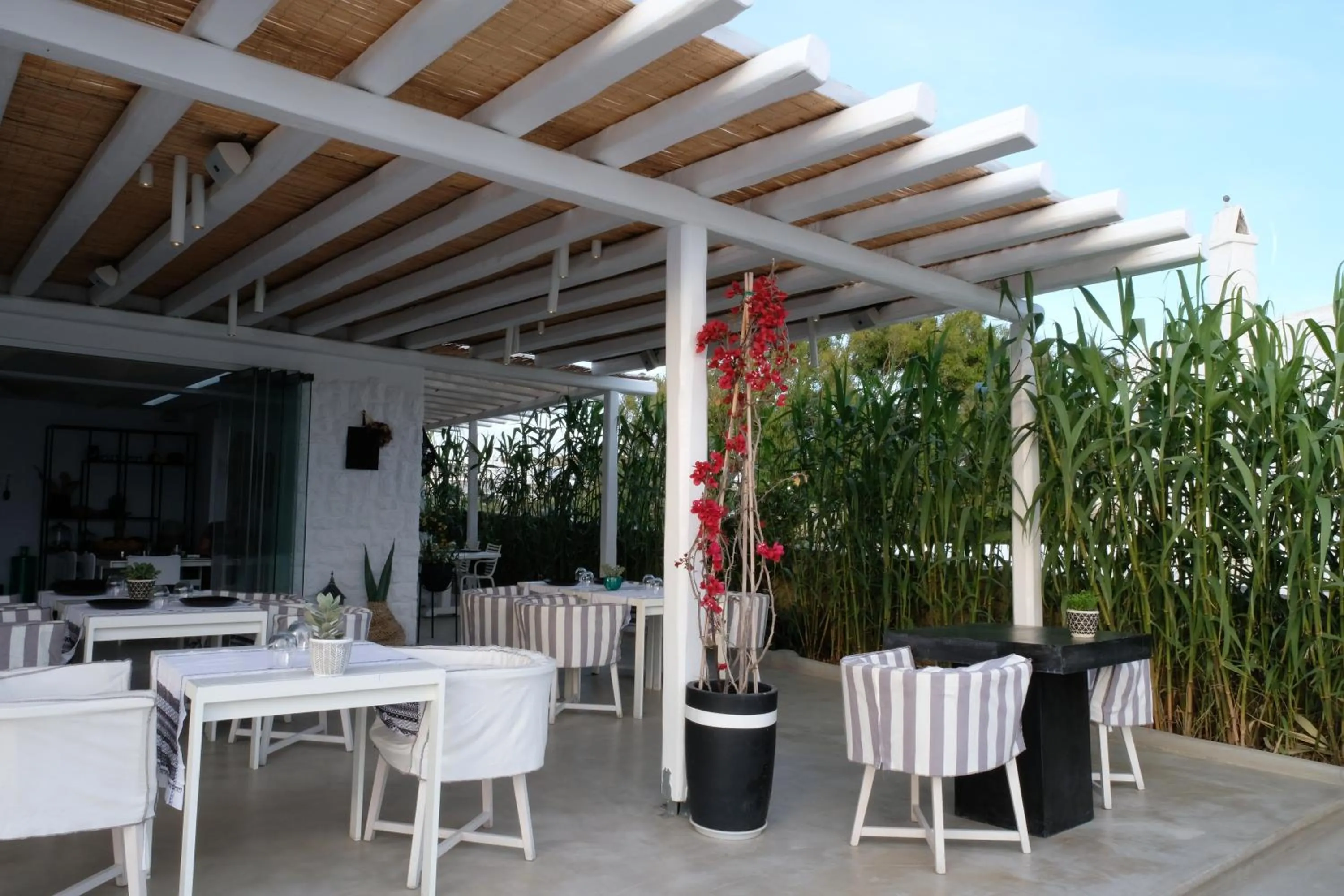 Restaurant/places to eat in Ostraco Suites