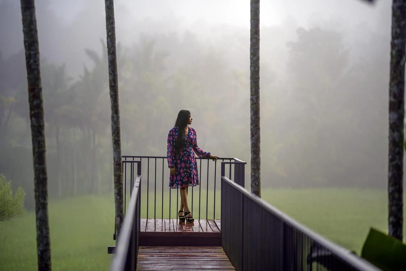 Winter in Crystal Kuruva Nature Resort & Spa