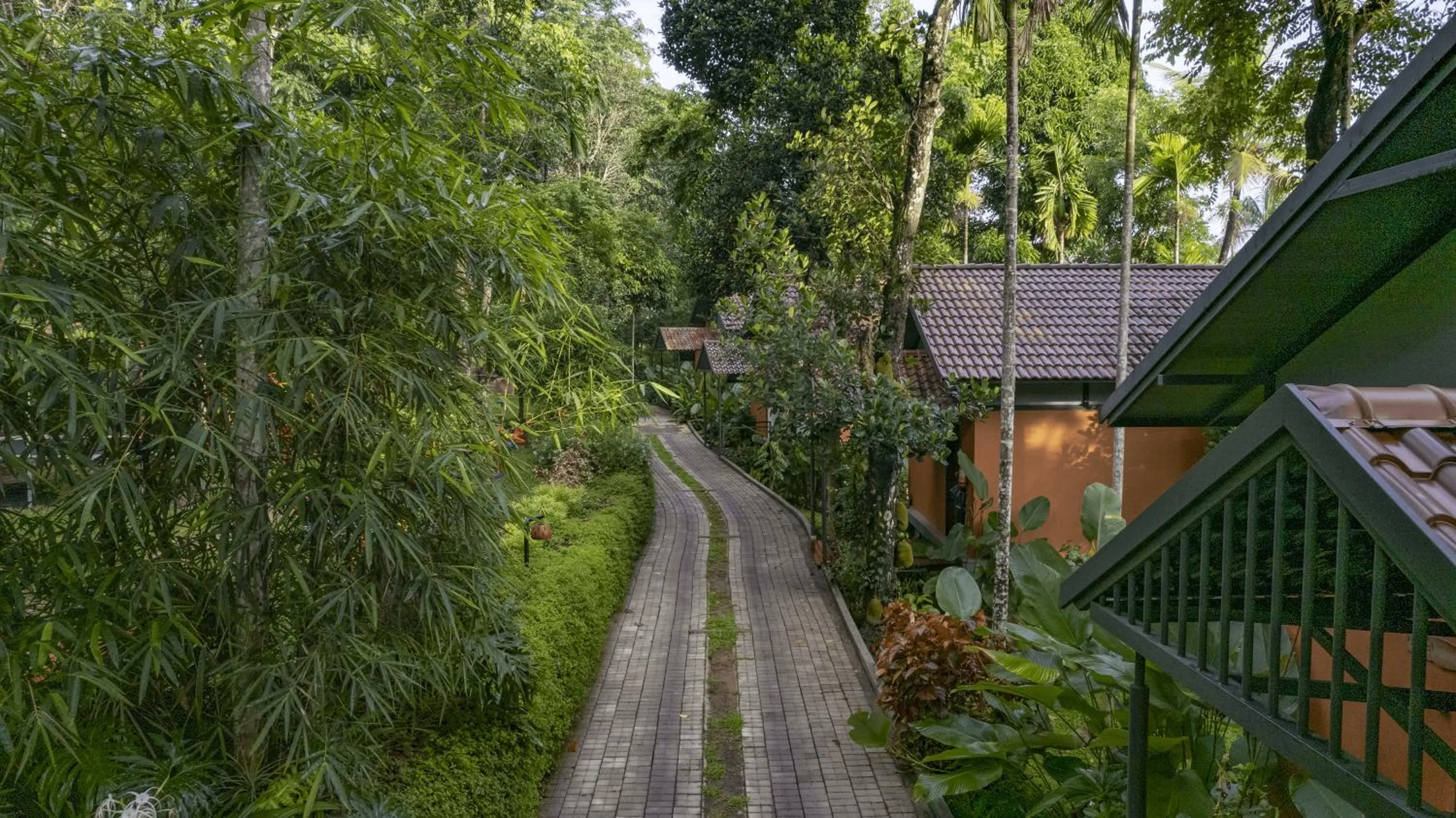 View (from property/room) in Crystal Kuruva Nature Resort & Spa