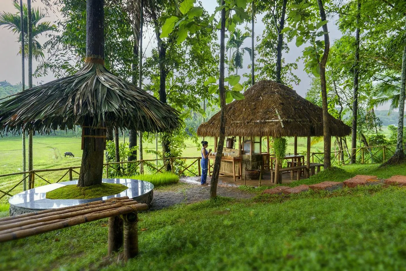 Day in Crystal Kuruva Nature Resort & Spa