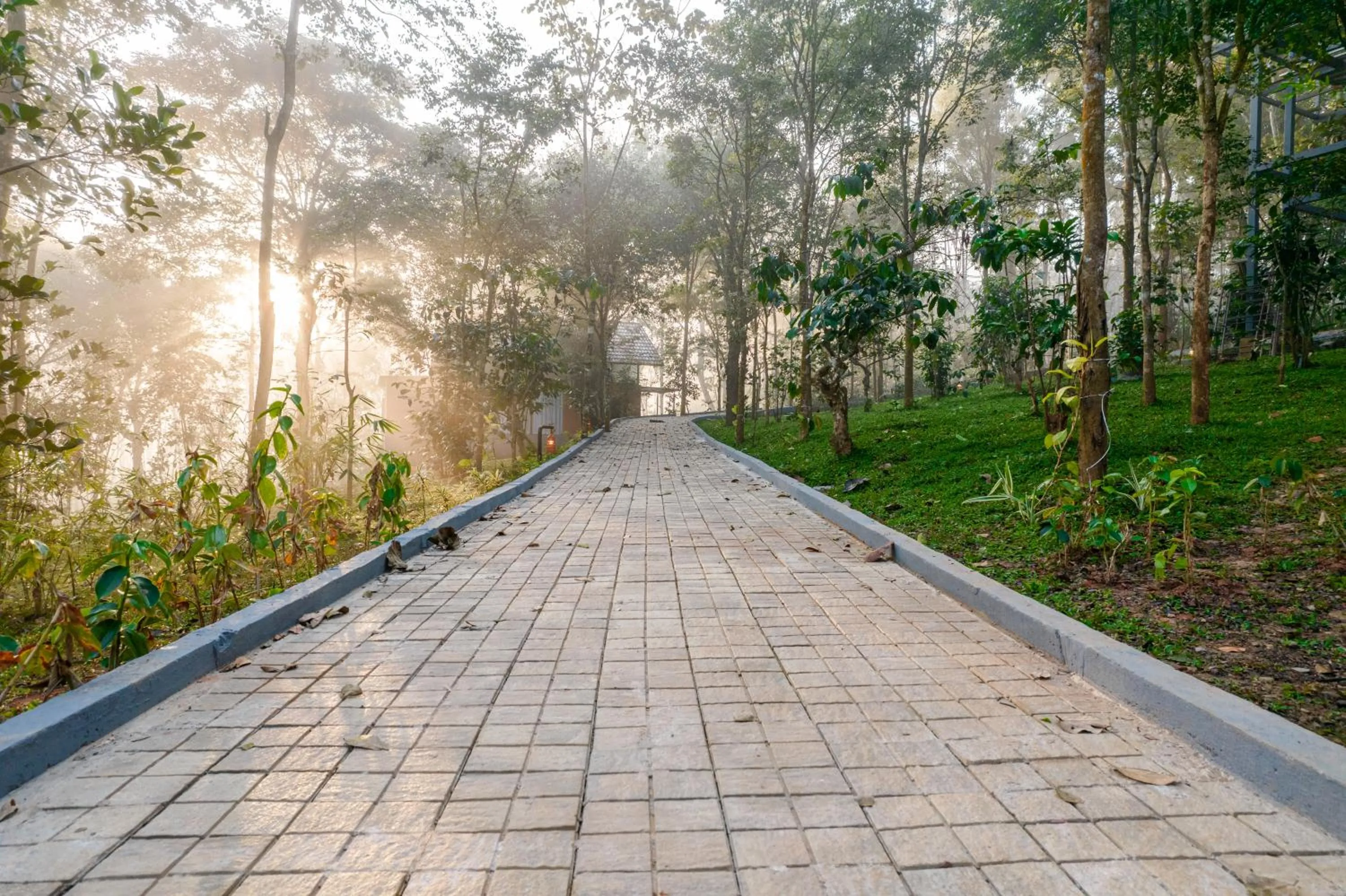 Natural landscape in Crystal Kuruva Nature Resort & Spa