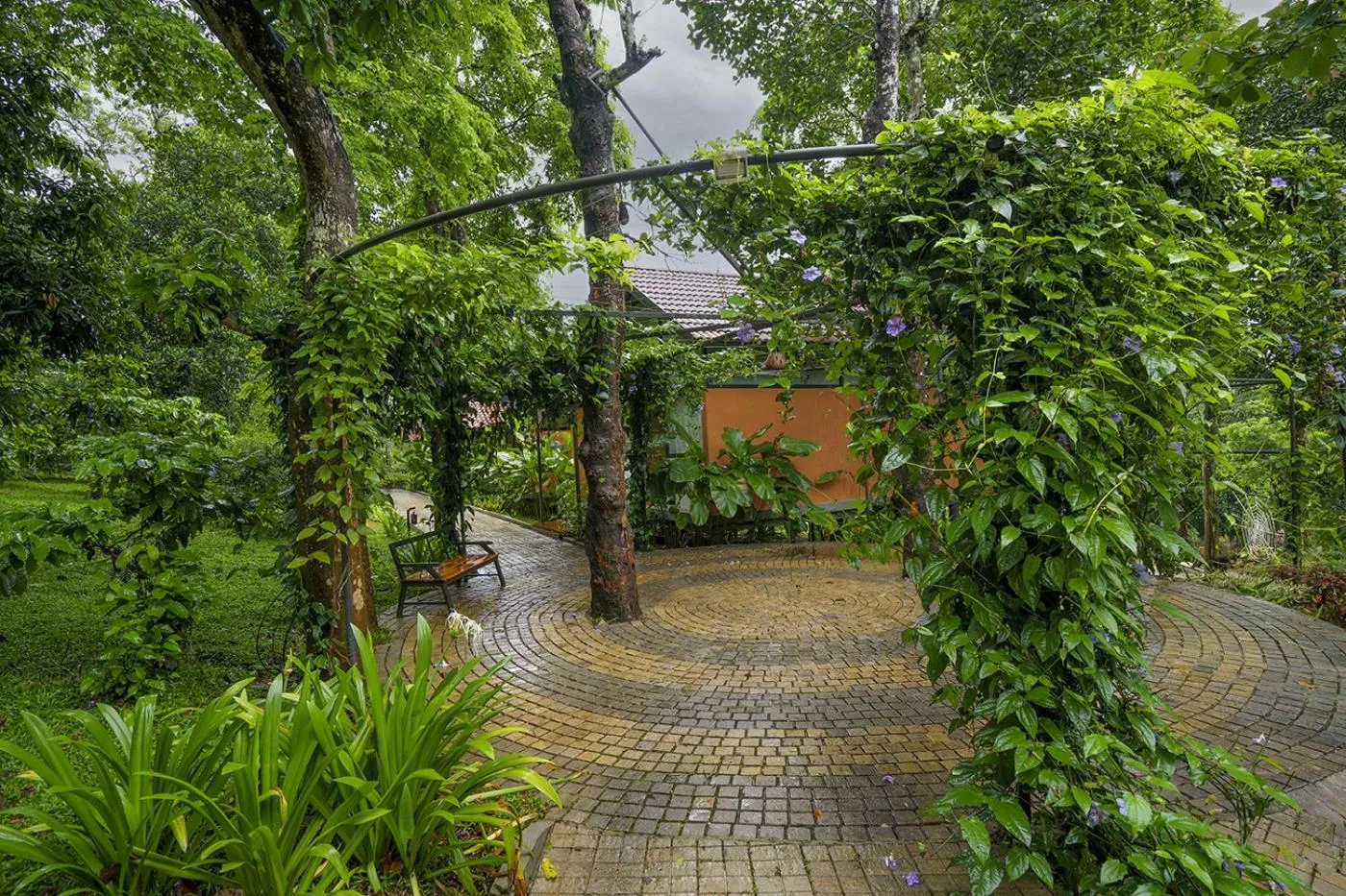 Property building in Crystal Kuruva Nature Resort & Spa