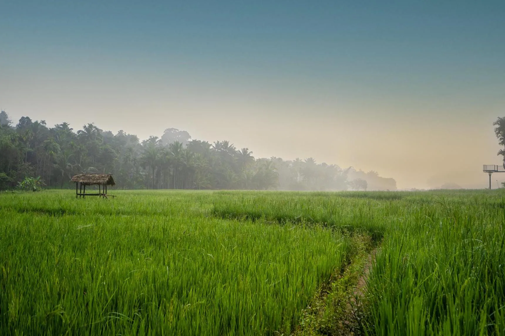 Nearby landmark in Crystal Kuruva Nature Resort & Spa