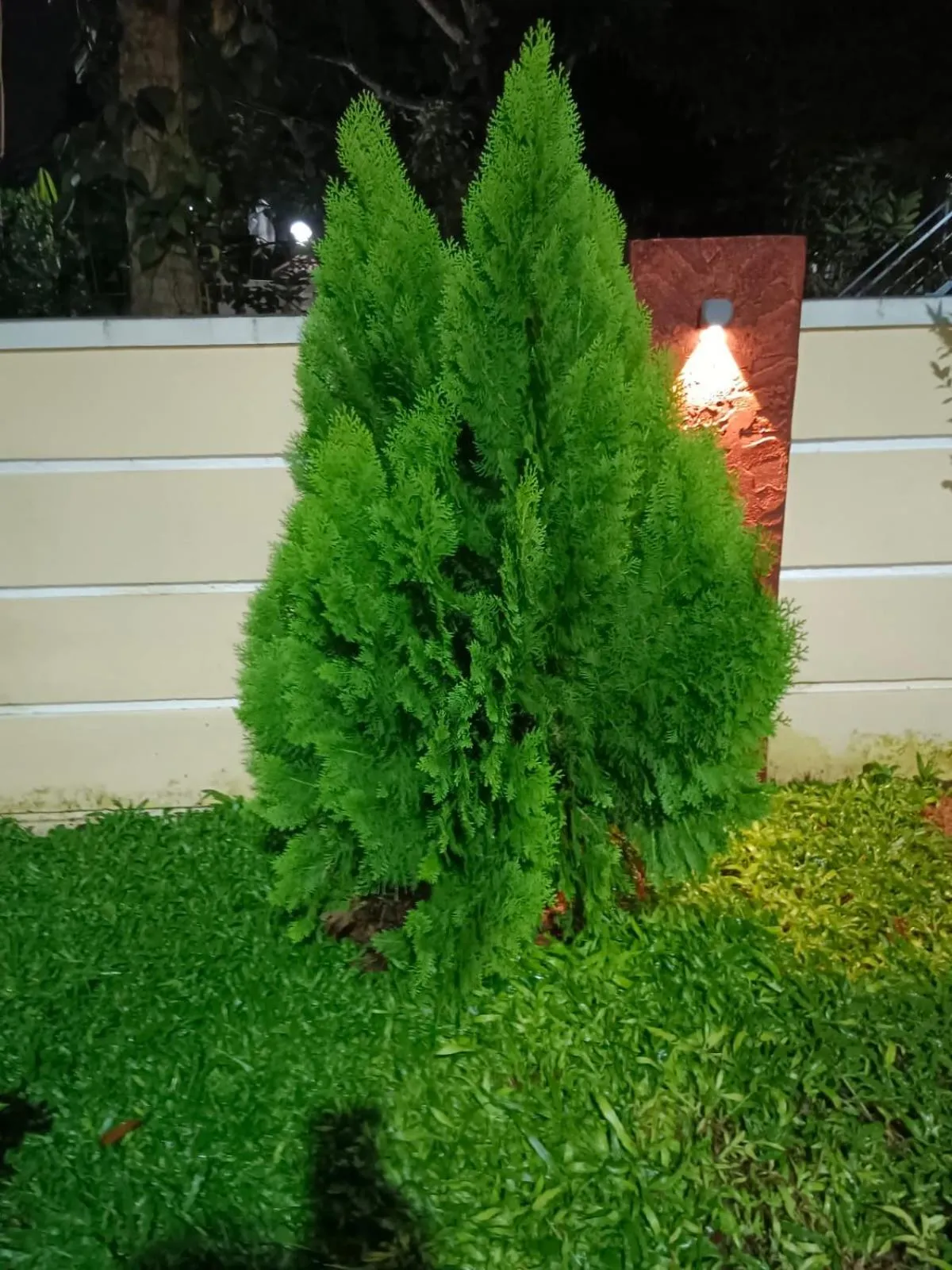 Night in MARINA SUITES AIRPORT HOTEL