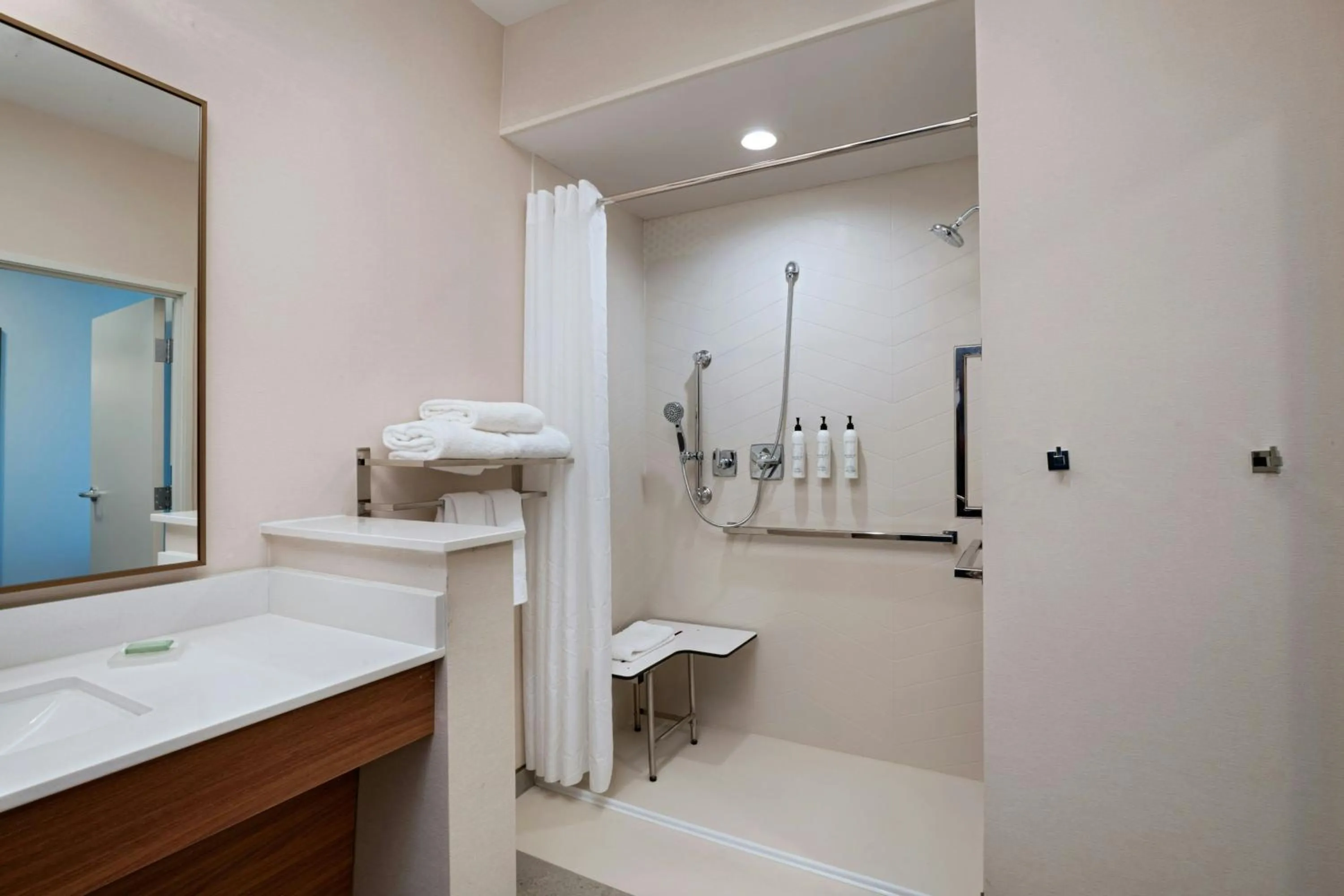 Bathroom in Fairfield by Marriott Inn & Suites Fort Worth Alliance Airport