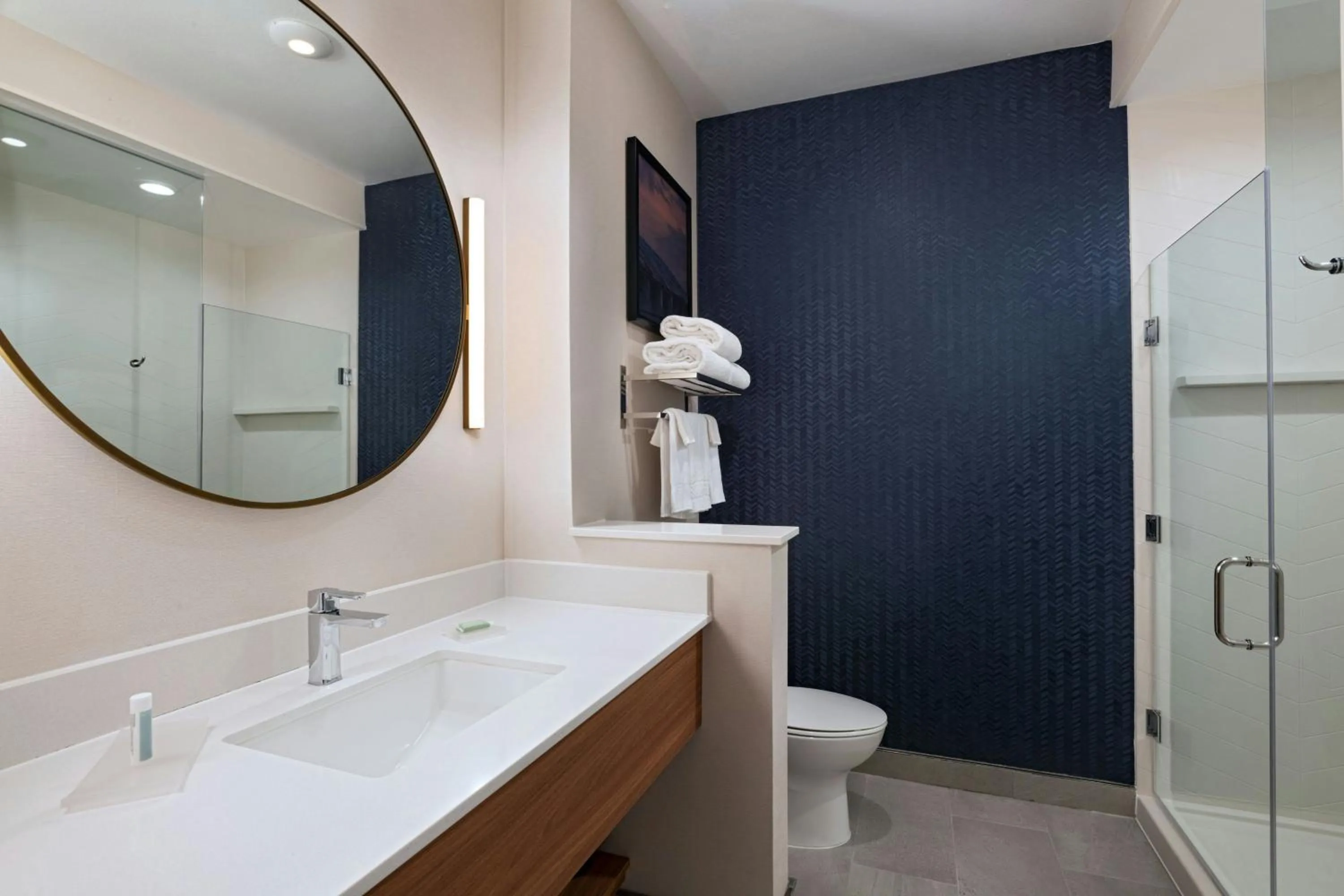 Bathroom in Fairfield by Marriott Inn & Suites Fort Worth Alliance Airport