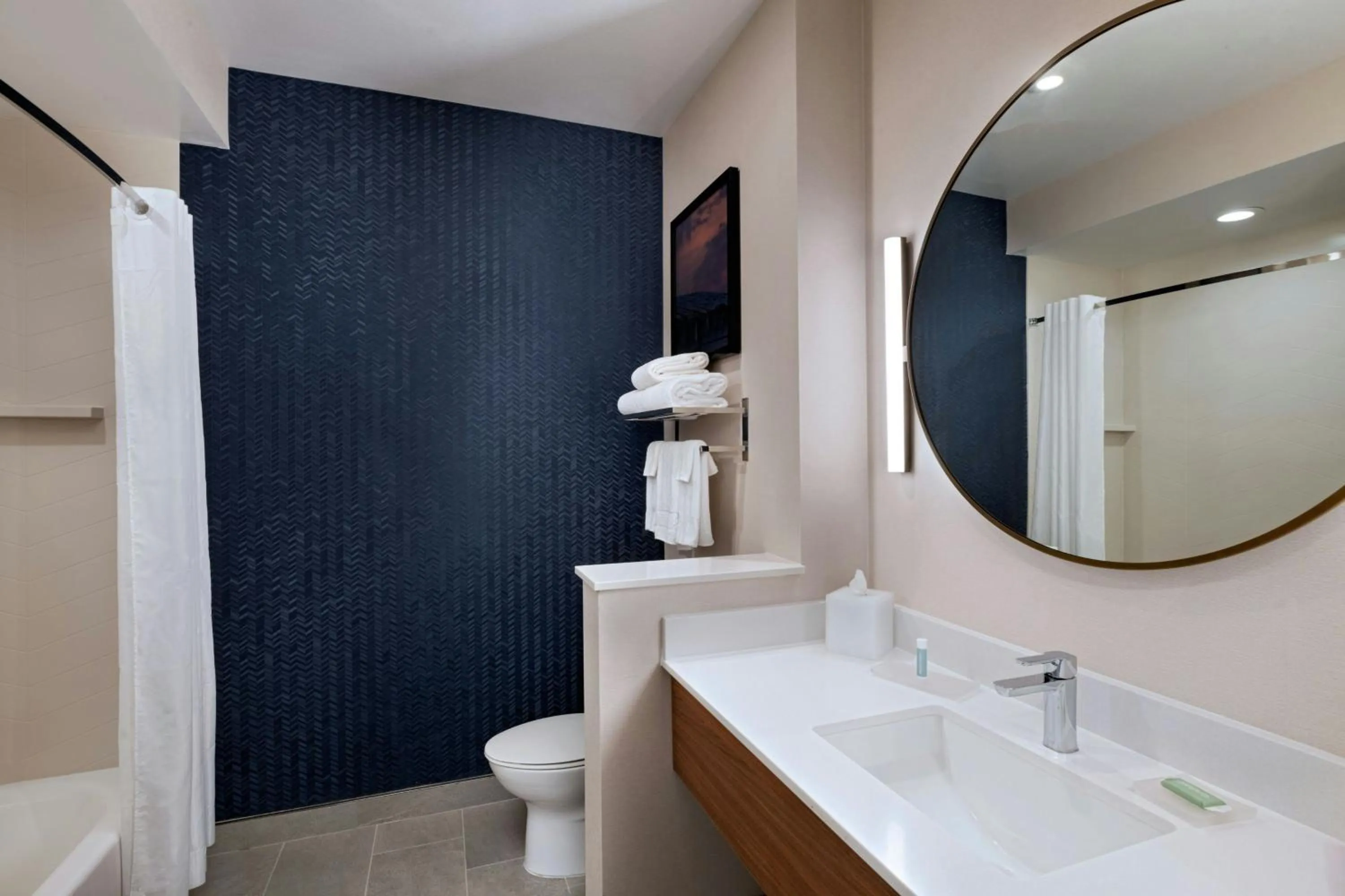 Bathroom in Fairfield by Marriott Inn & Suites Fort Worth Alliance Airport