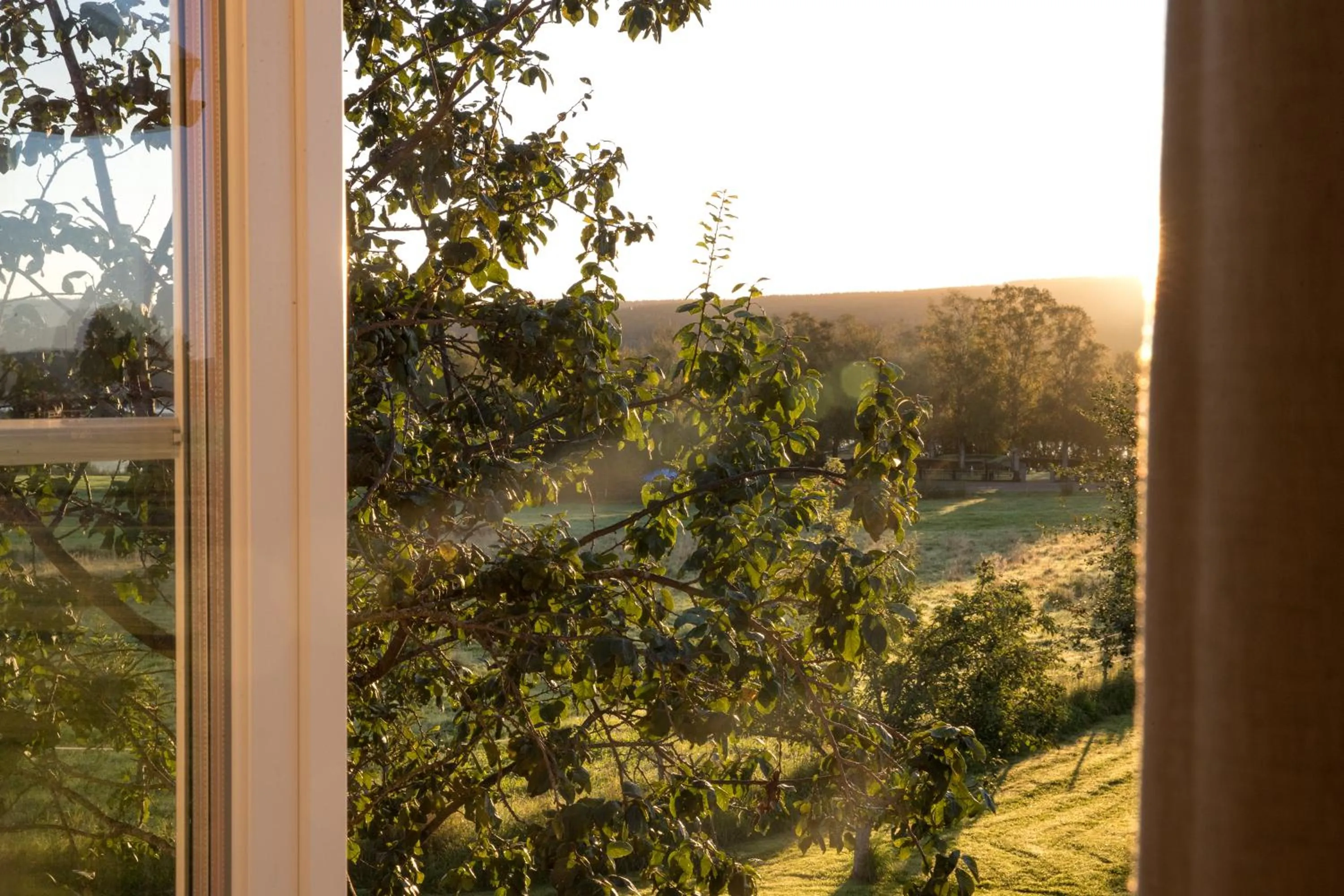 Garden in STF Undersvik Gårdshotell & Vandrarhem