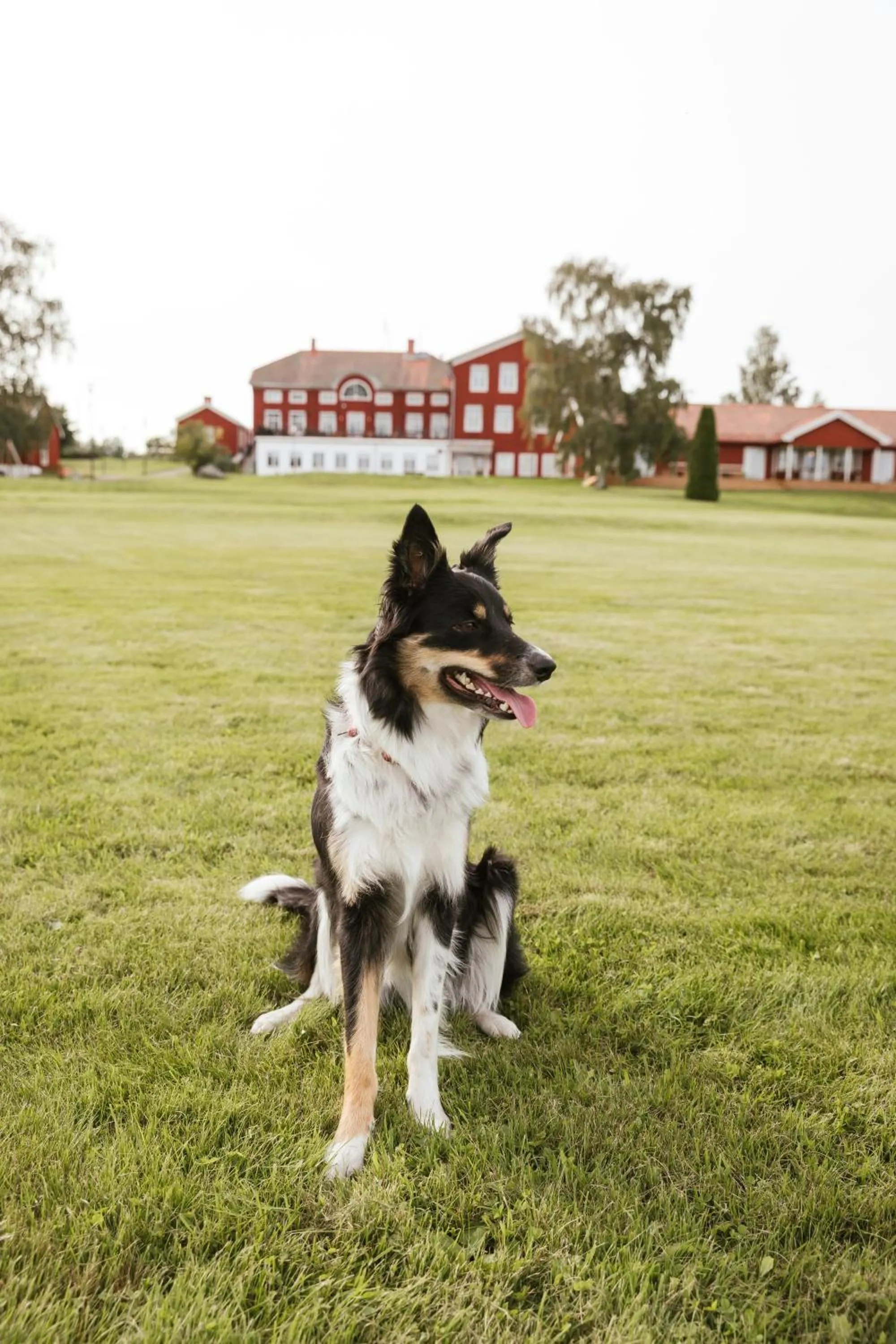 STF Undersvik Gårdshotell & Vandrarhem