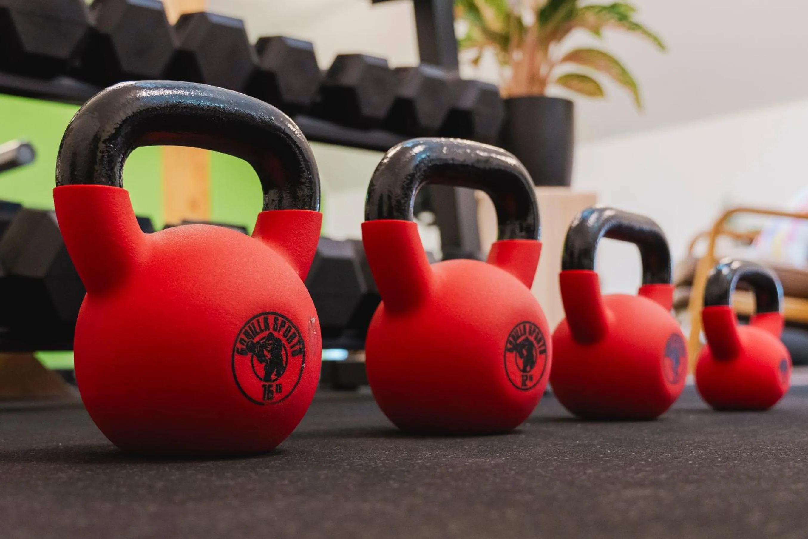 Fitness centre/facilities in Hofgut Schmitte