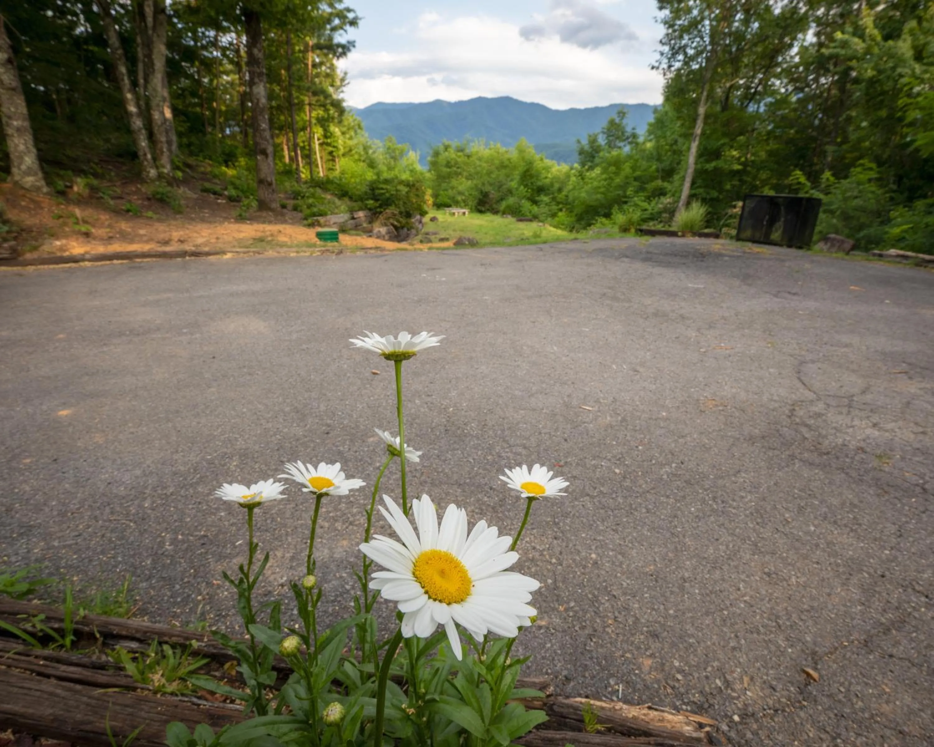 Garden in Real Log Cabin With Amazing Views, Hot Tub, Sauna, Games