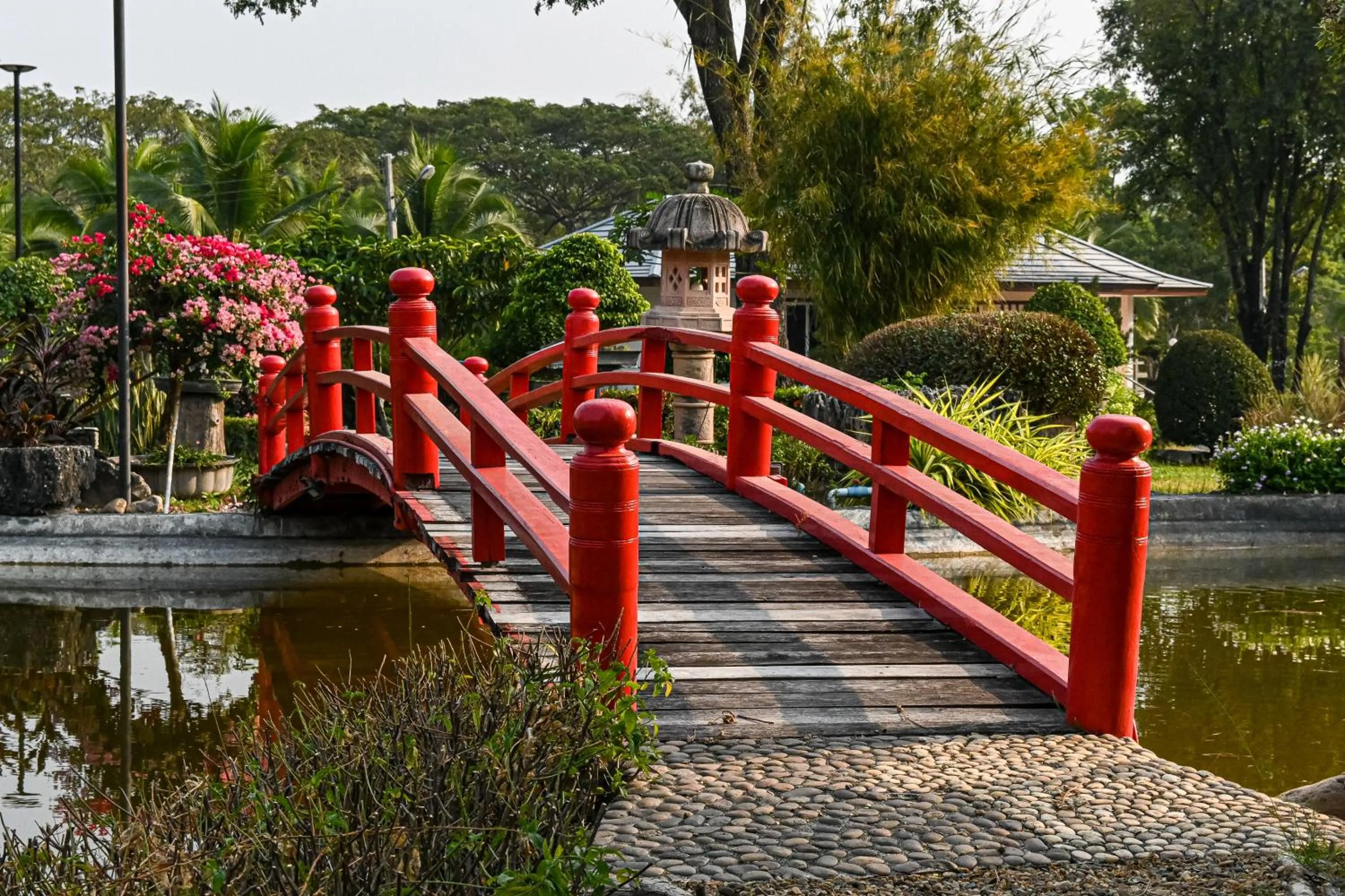 Property building in Suanphung Bonsai Village