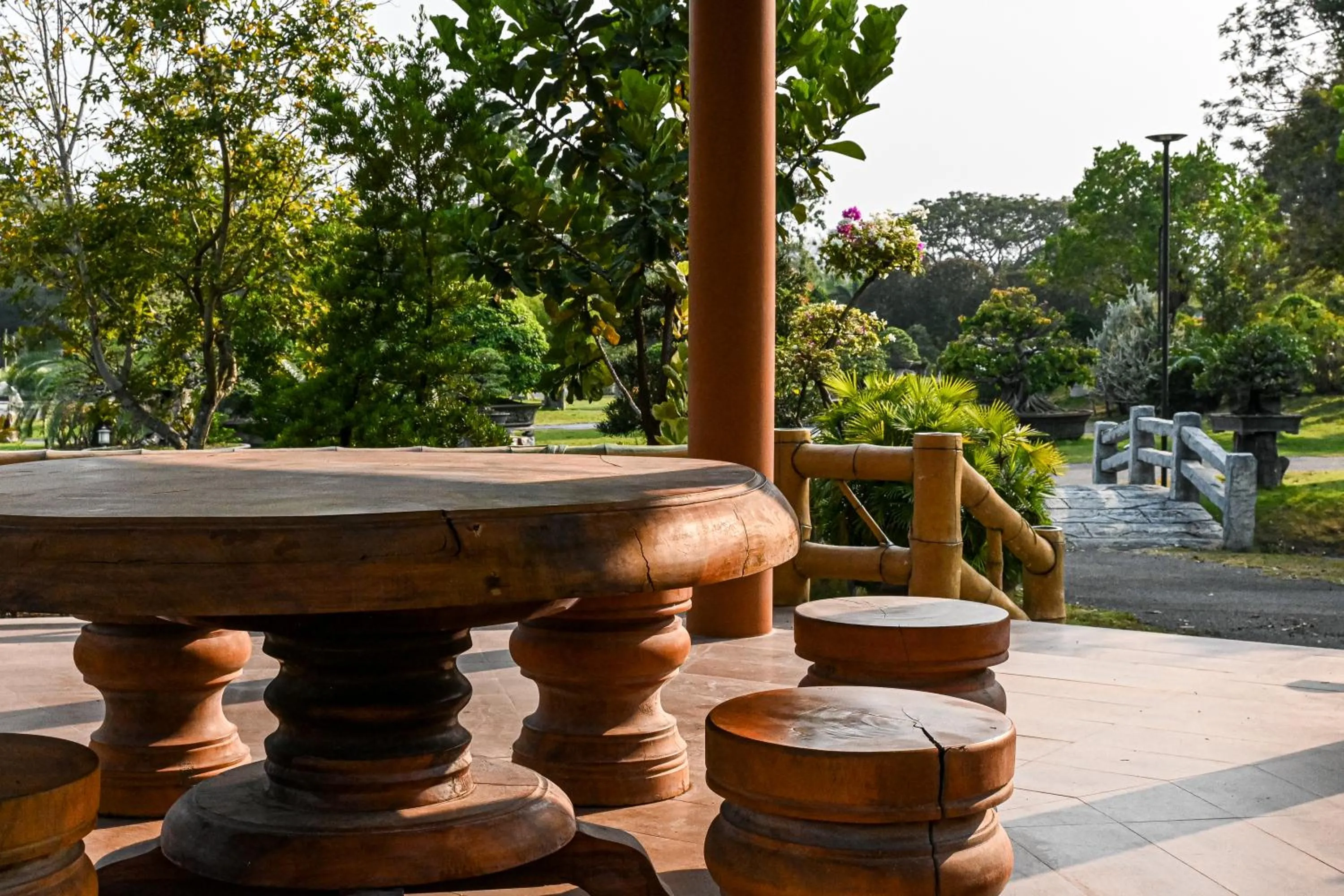 Day in Suanphung Bonsai Village