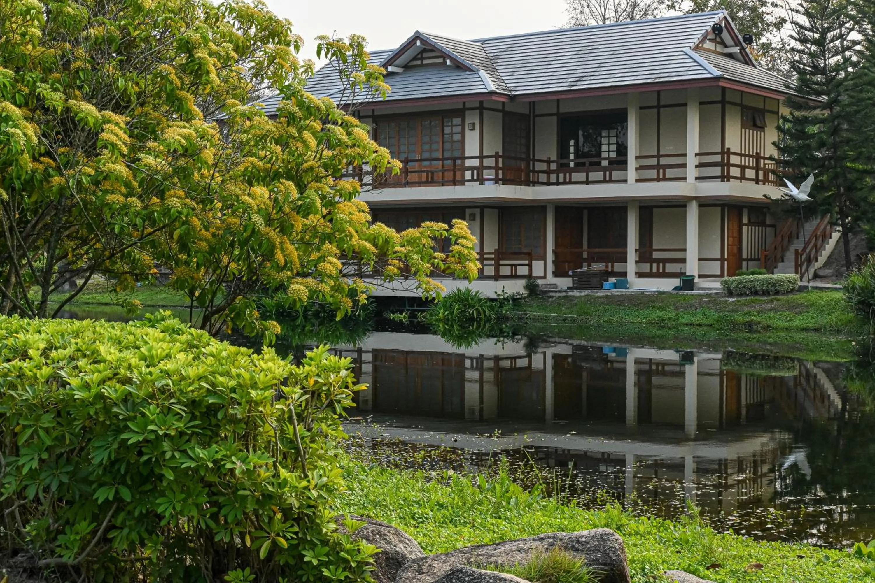 Property building in Suanphung Bonsai Village