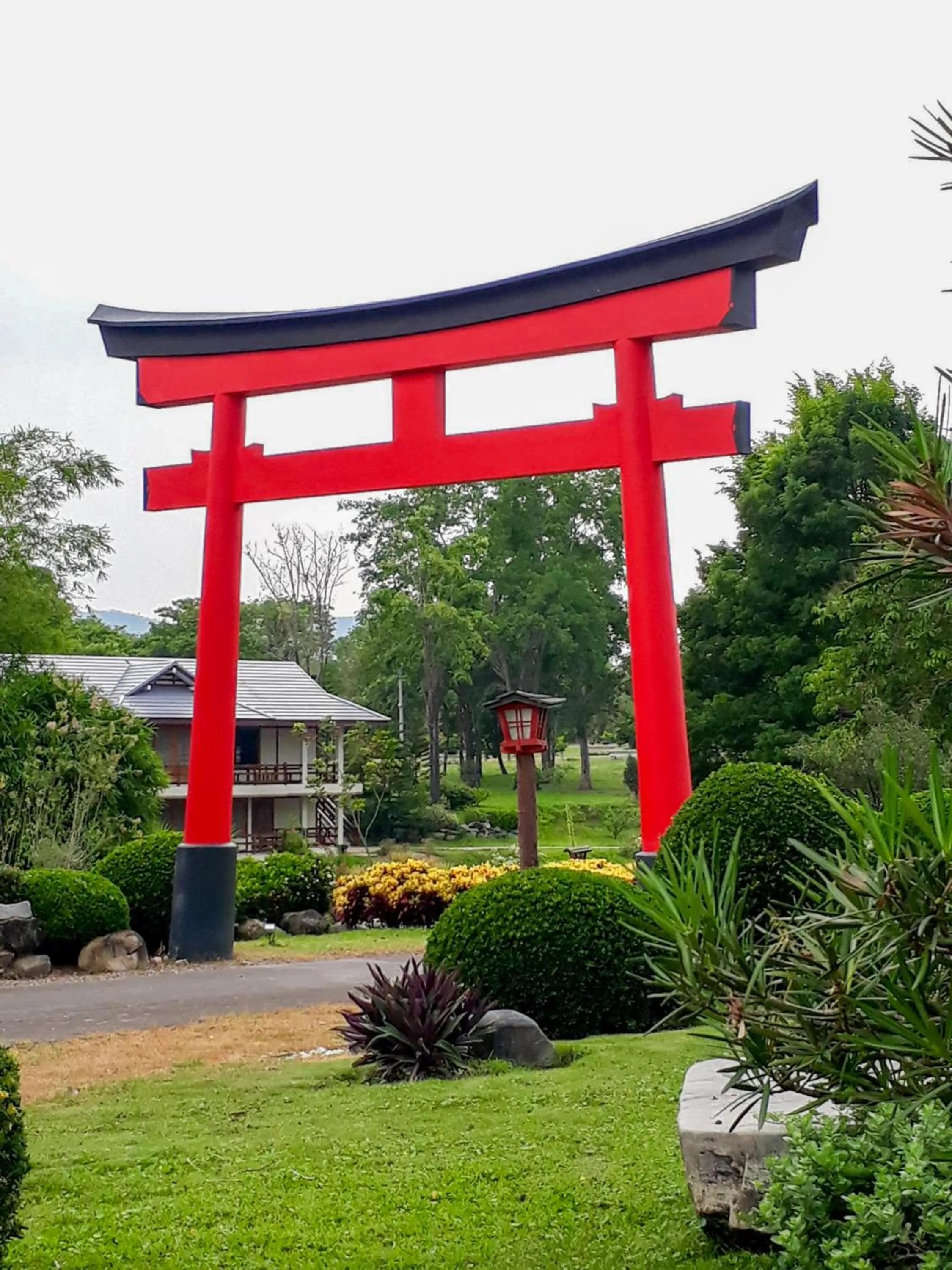 Property building in Suanphung Bonsai Village
