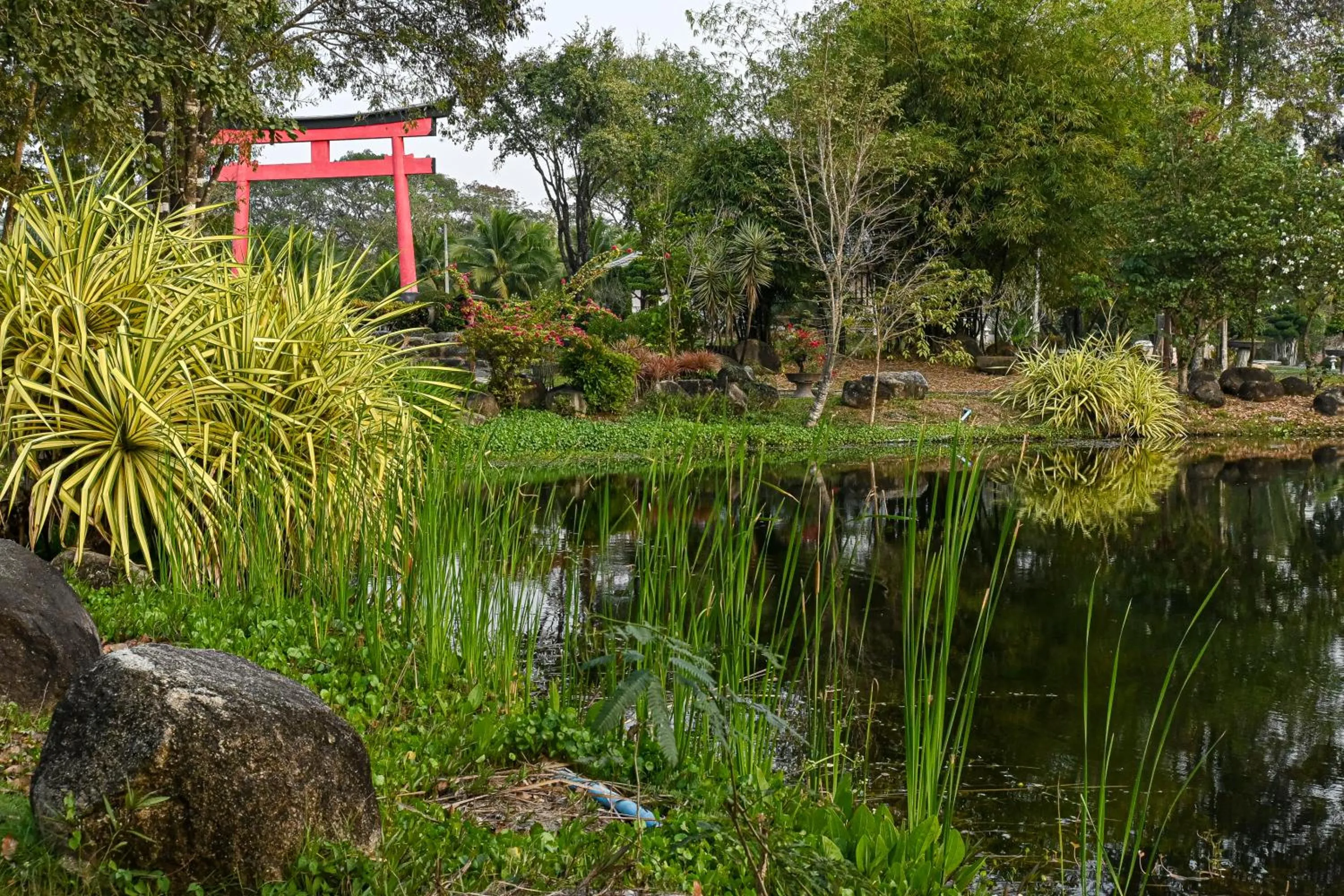 Garden in Suanphung Bonsai Village