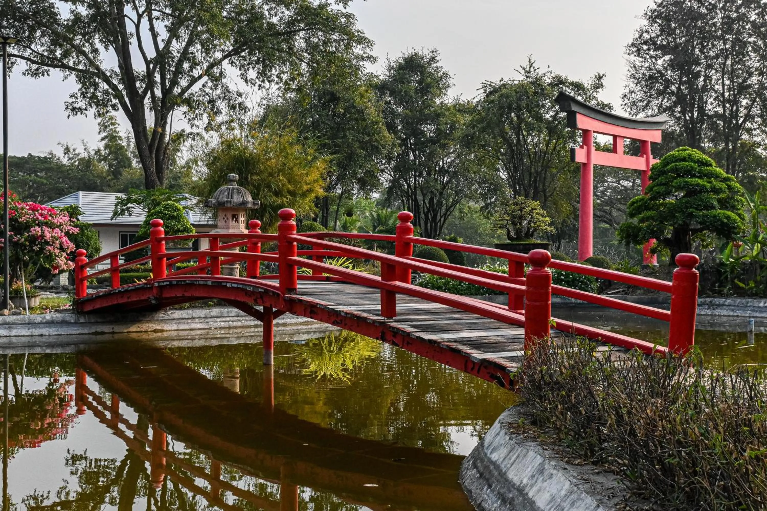 Property building in Suanphung Bonsai Village