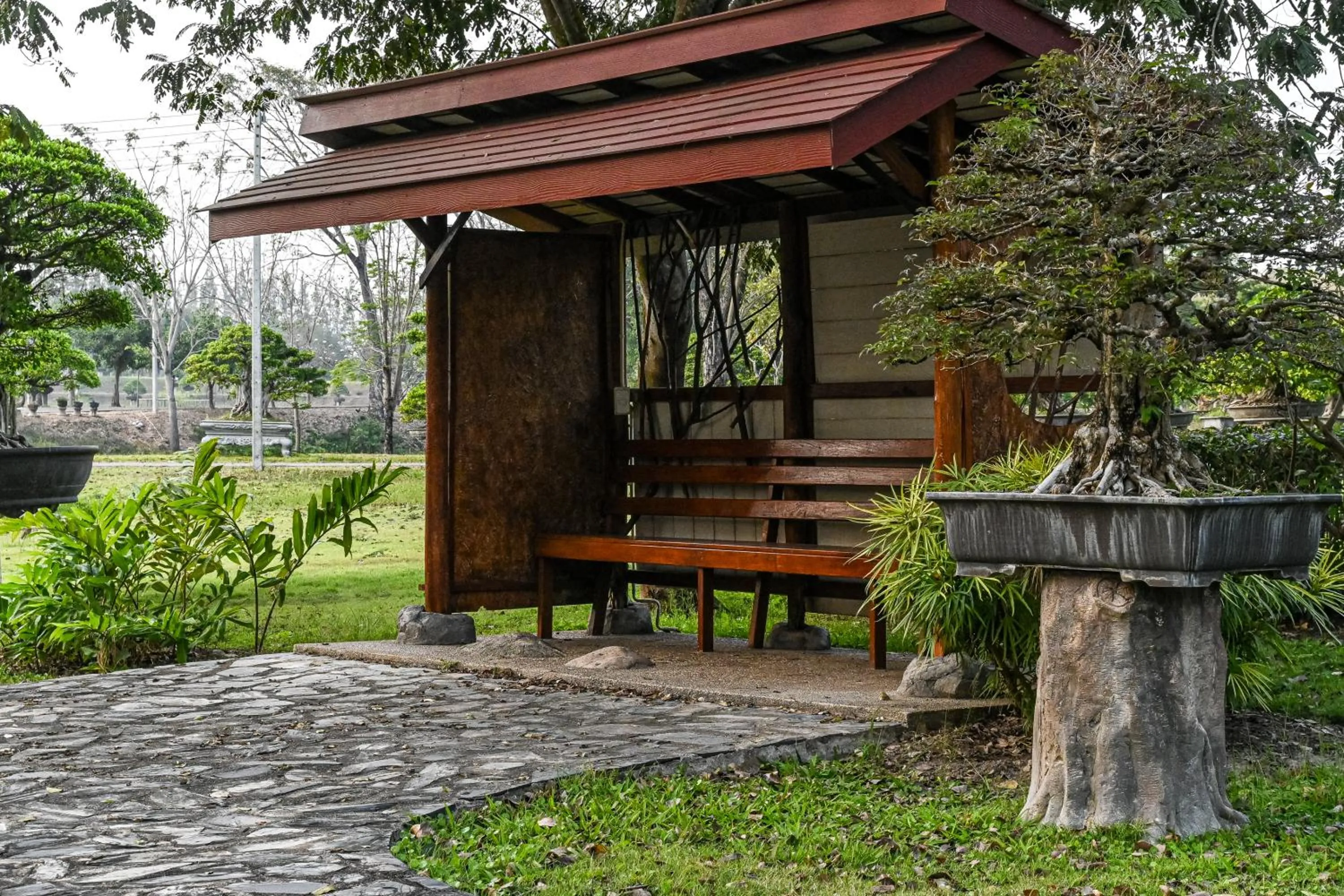 Garden in Suanphung Bonsai Village