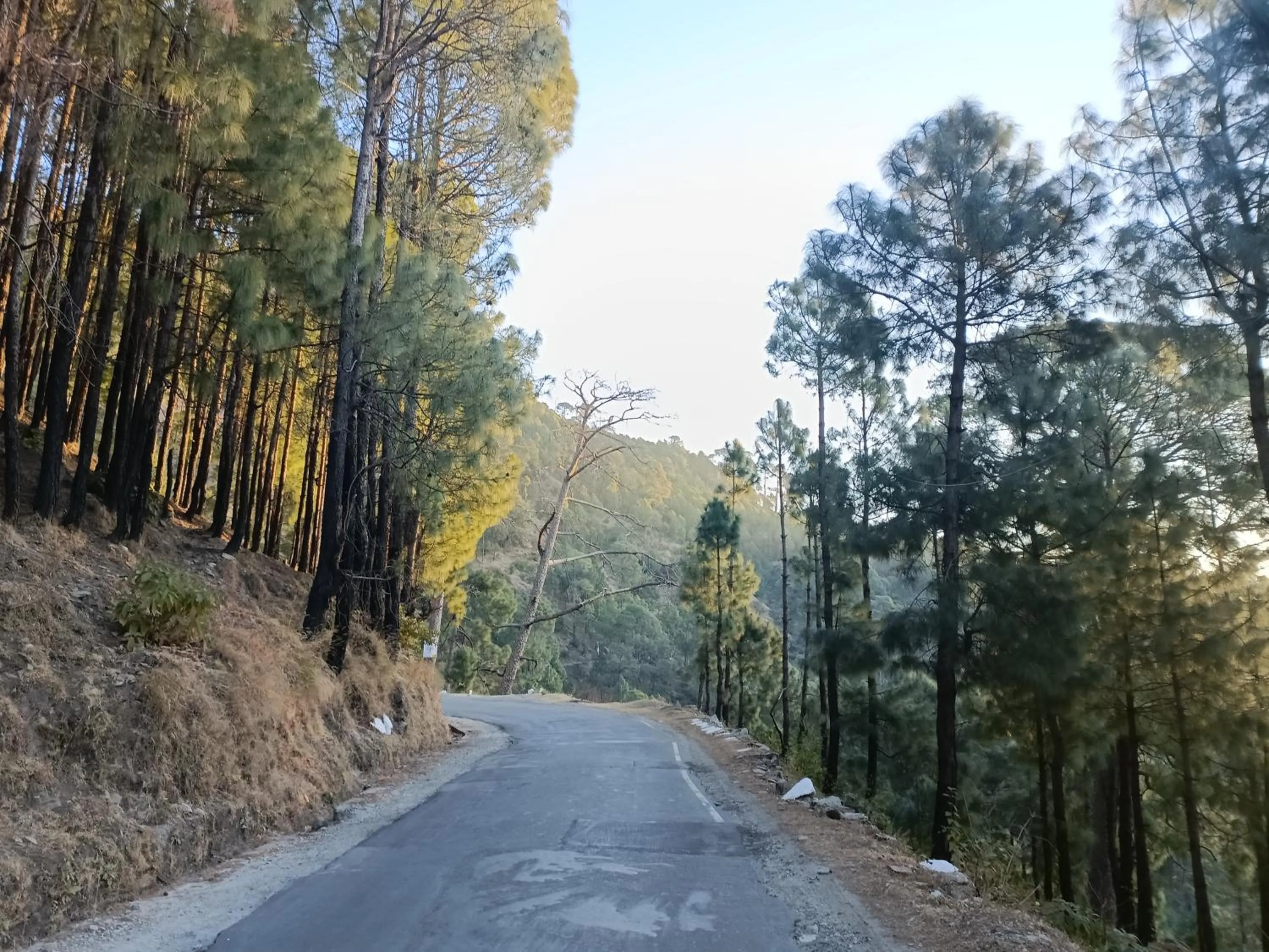 Natural landscape in Nature Hike