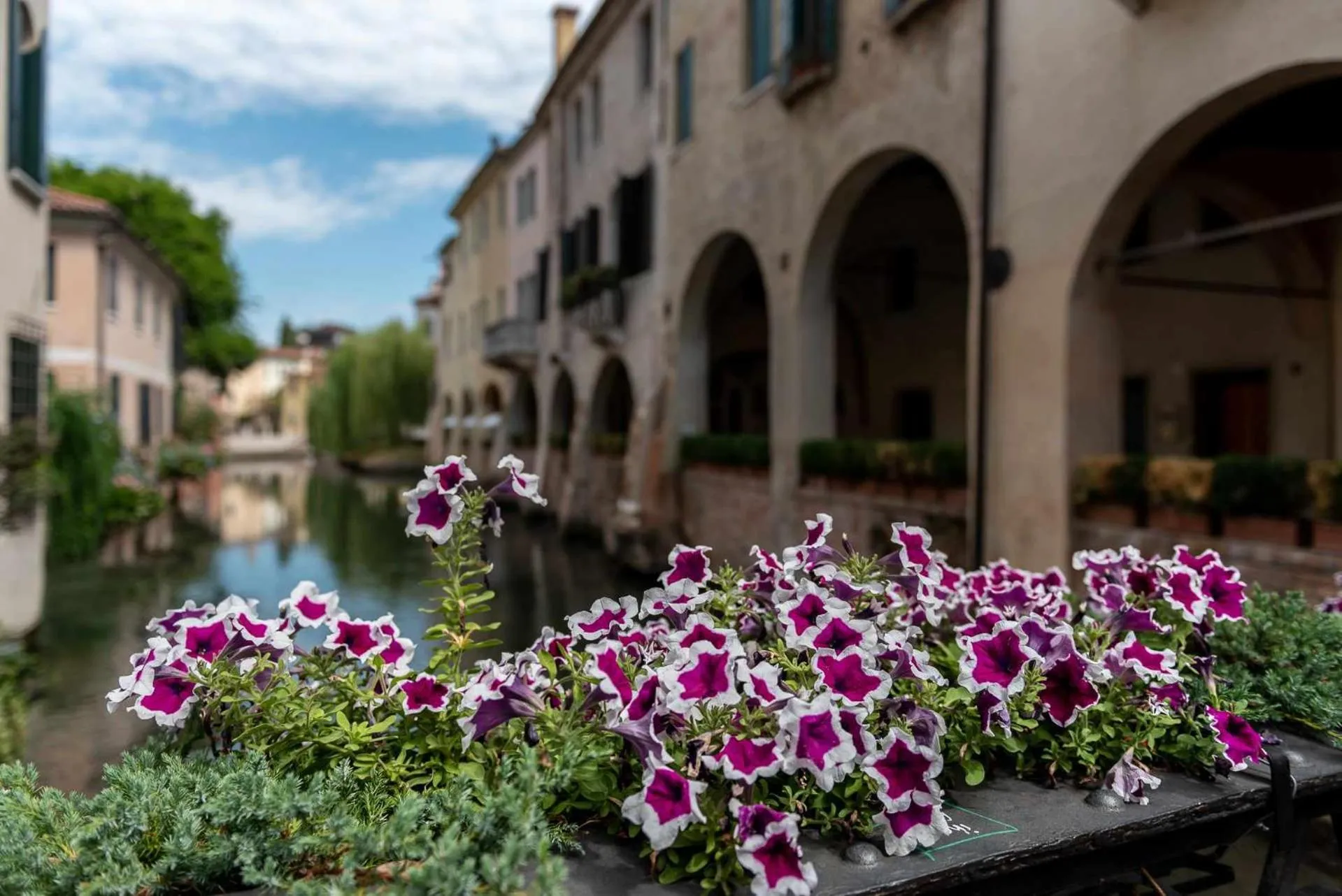 River view in Buranelli Charme Rooms
