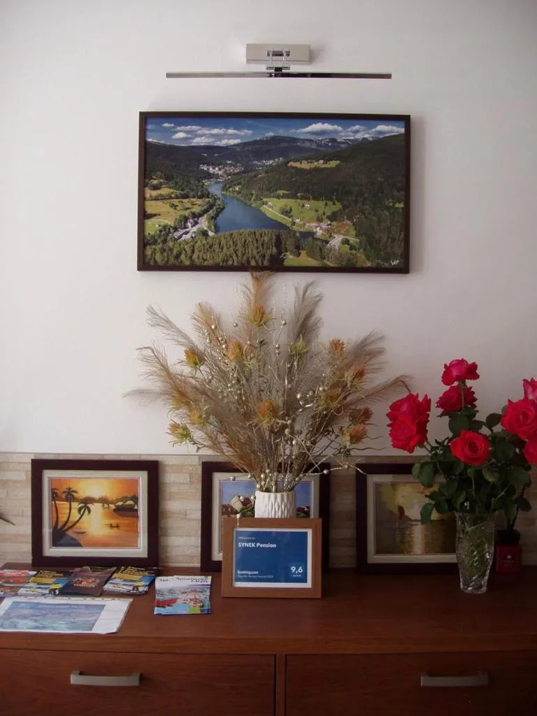 SYNEK Pension