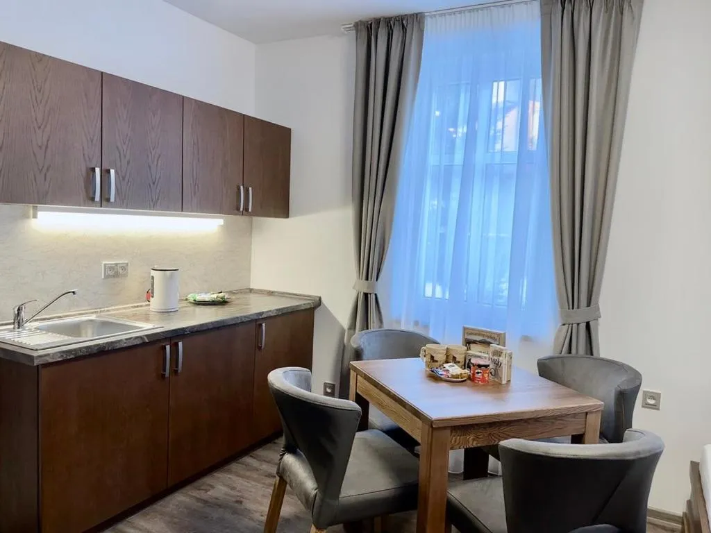 Kitchen or kitchenette in SYNEK Pension