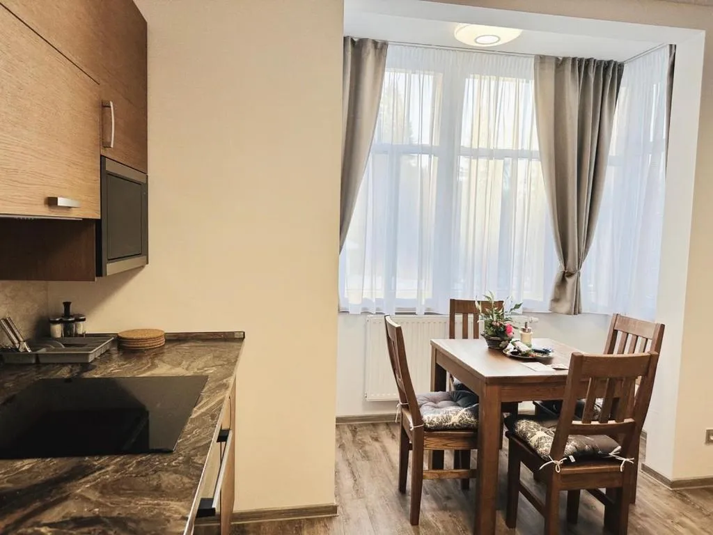 kitchen in SYNEK Pension