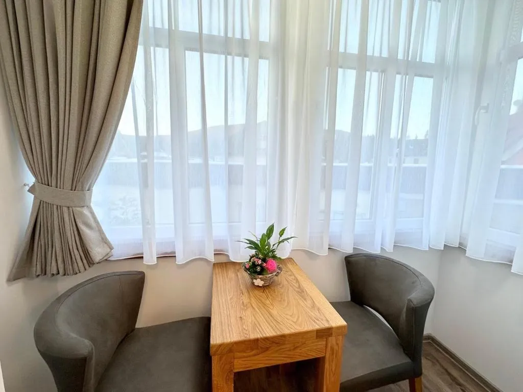 Balcony/Terrace in SYNEK Pension