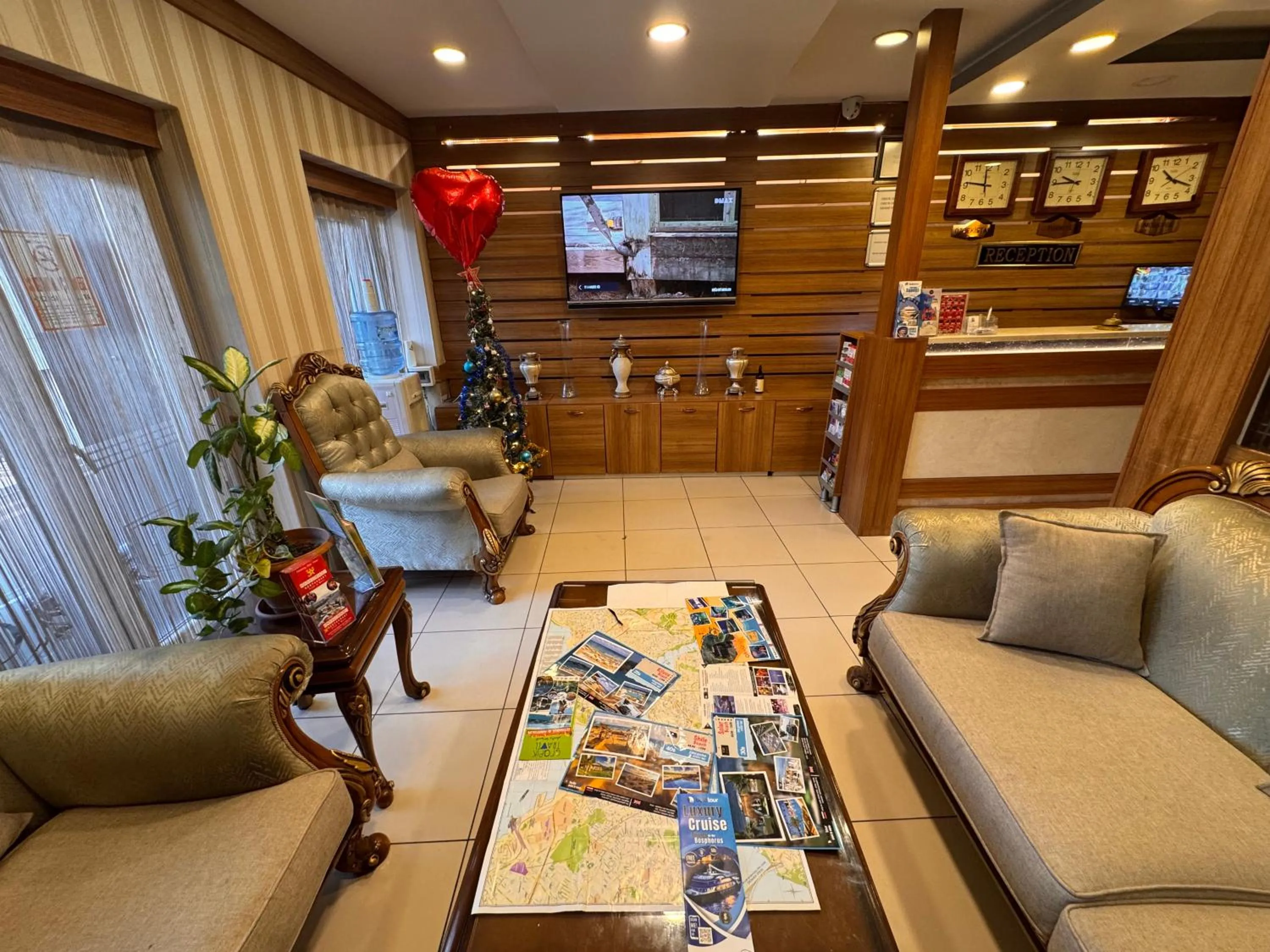 TV and multimedia in GROSS HOTEL