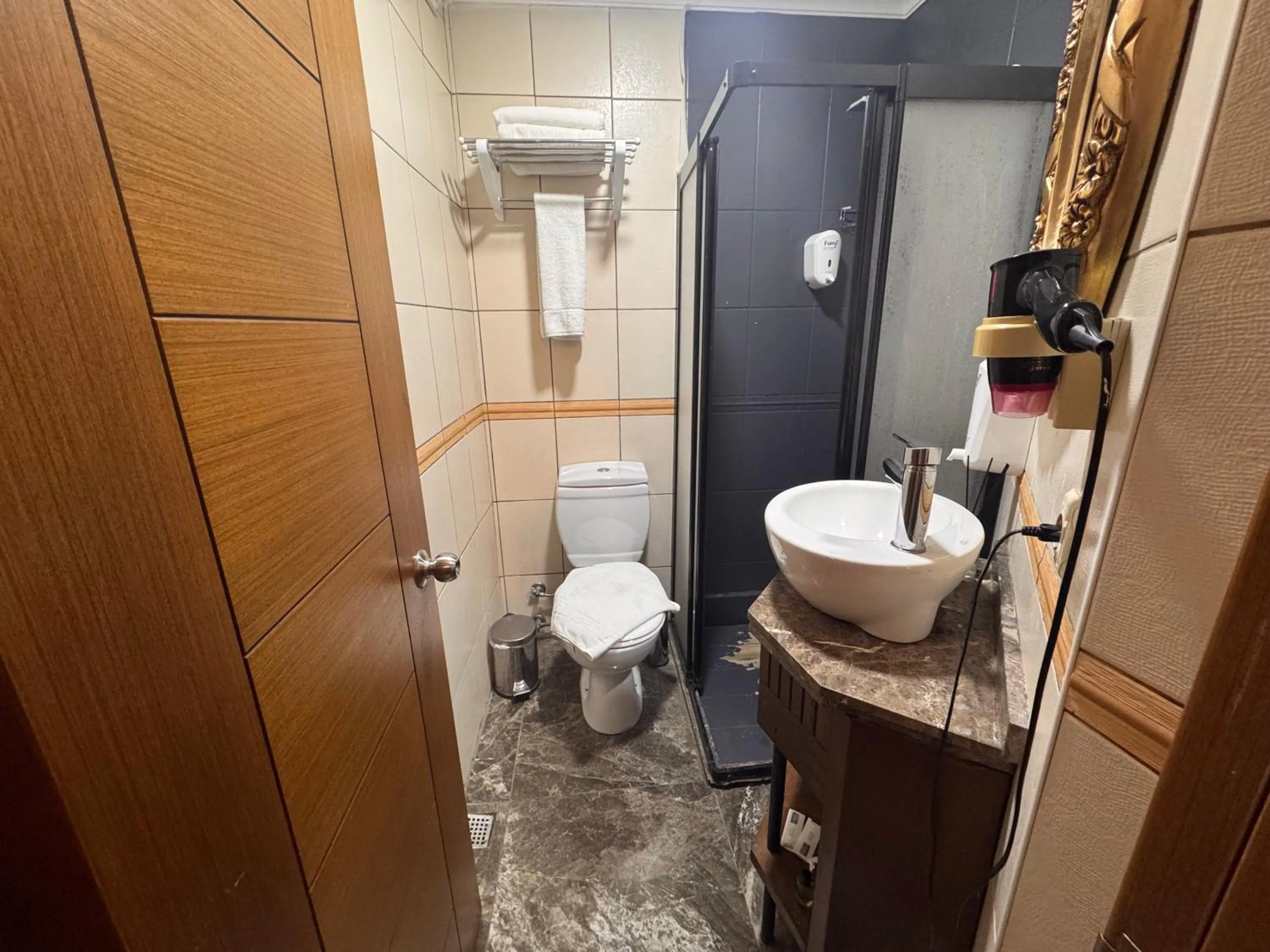 Shower in GROSS HOTEL