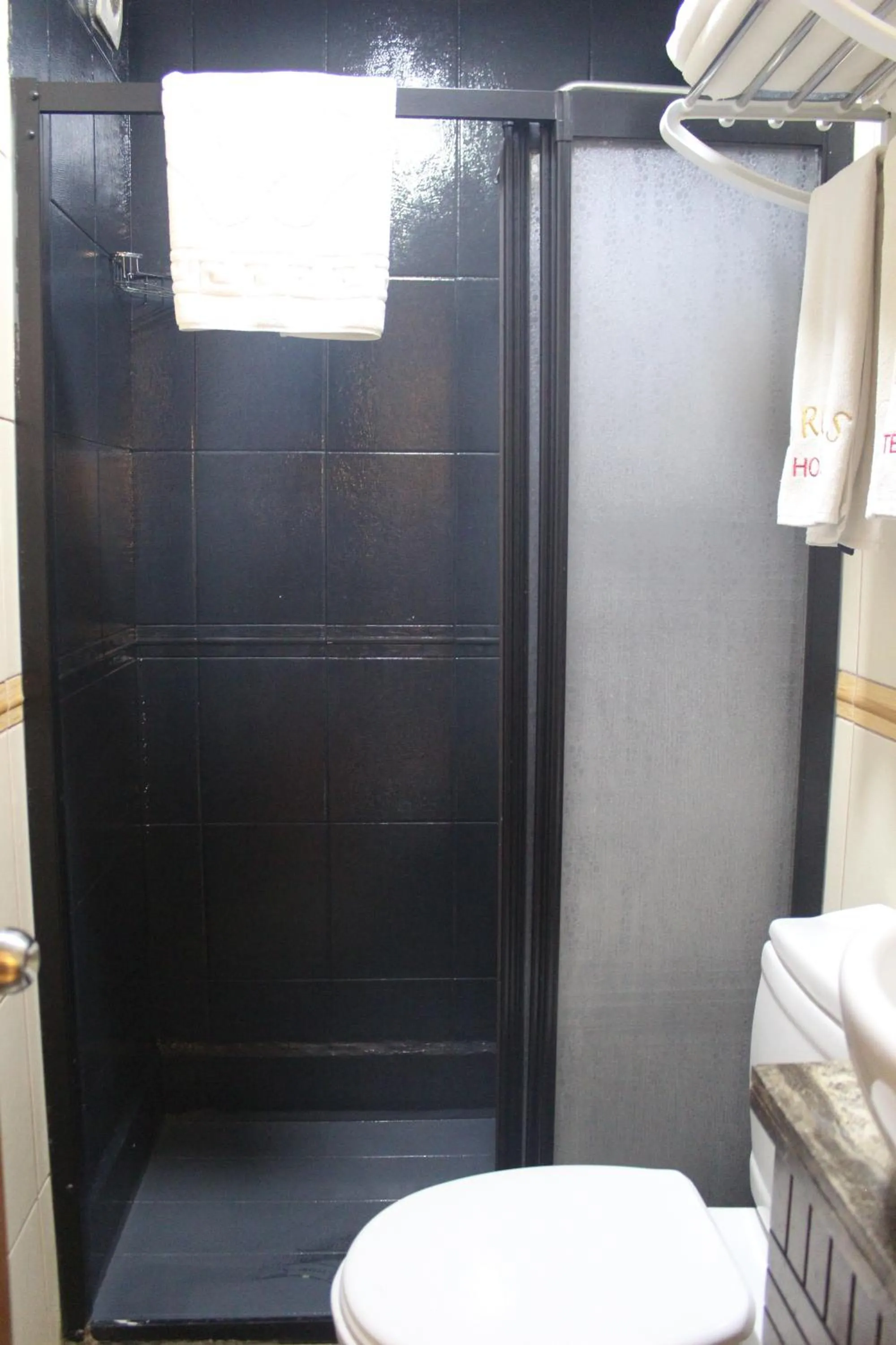 Shower in GROSS HOTEL