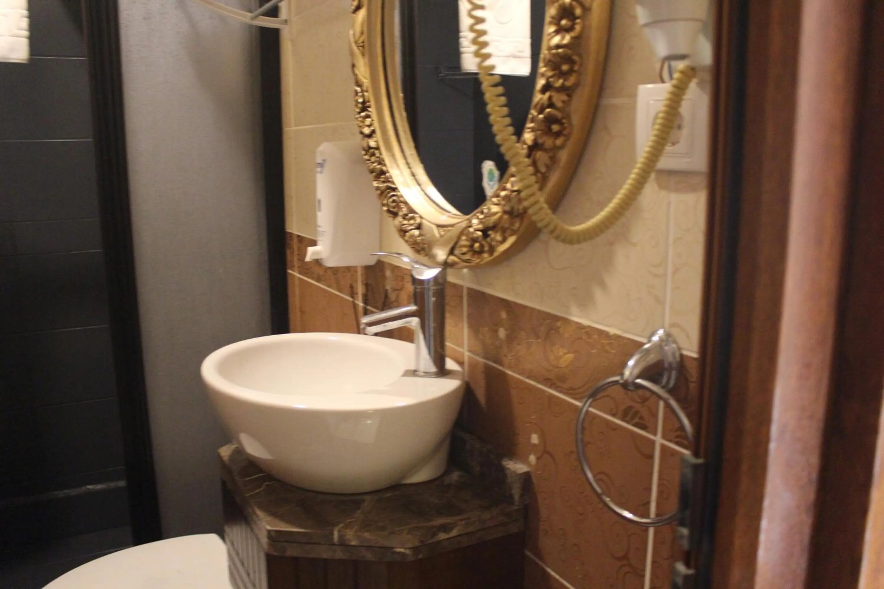 Toilet in GROSS HOTEL