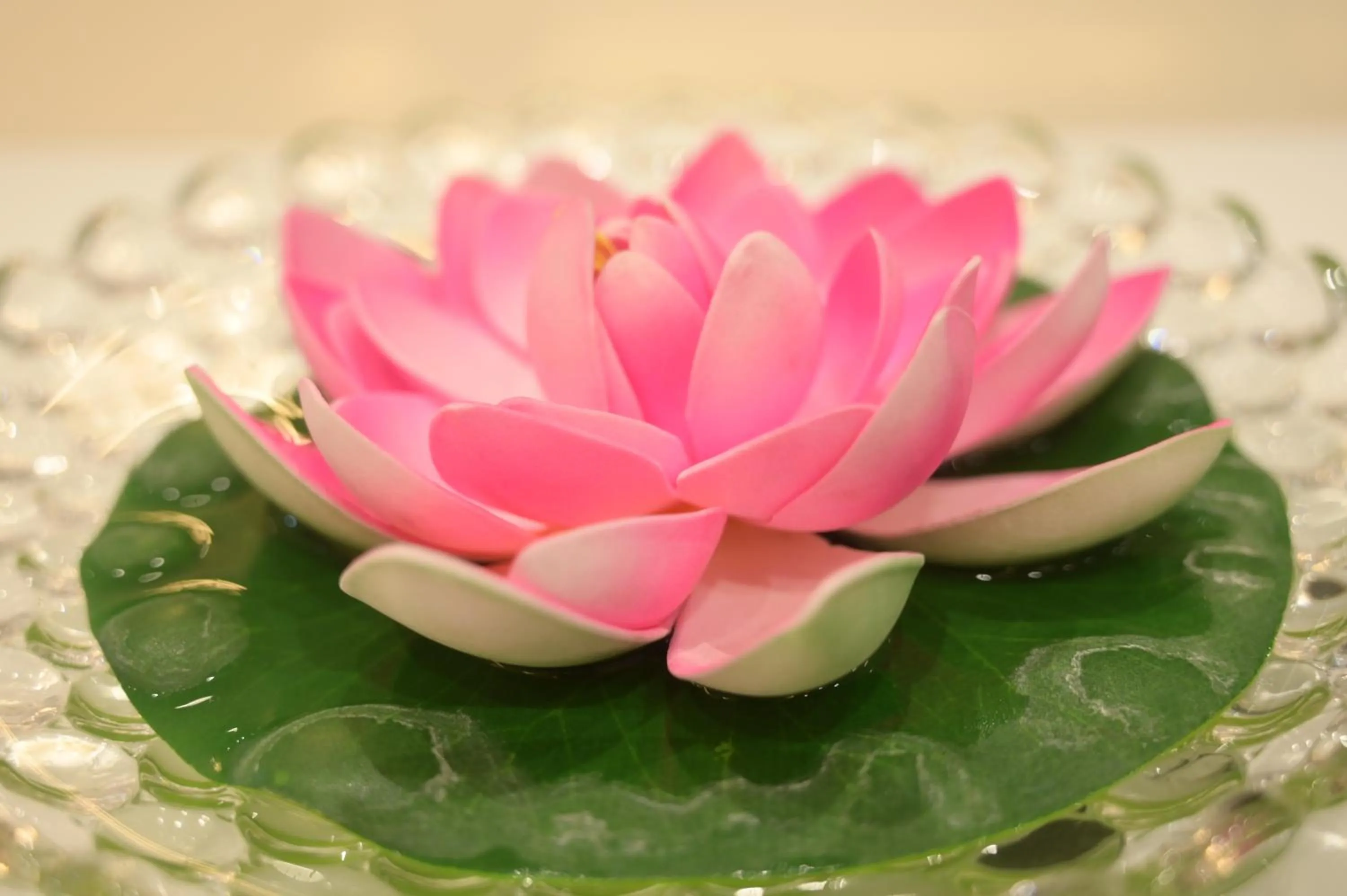 Decorative detail in HOTEL THE PARKER INN By KBNT GROUP