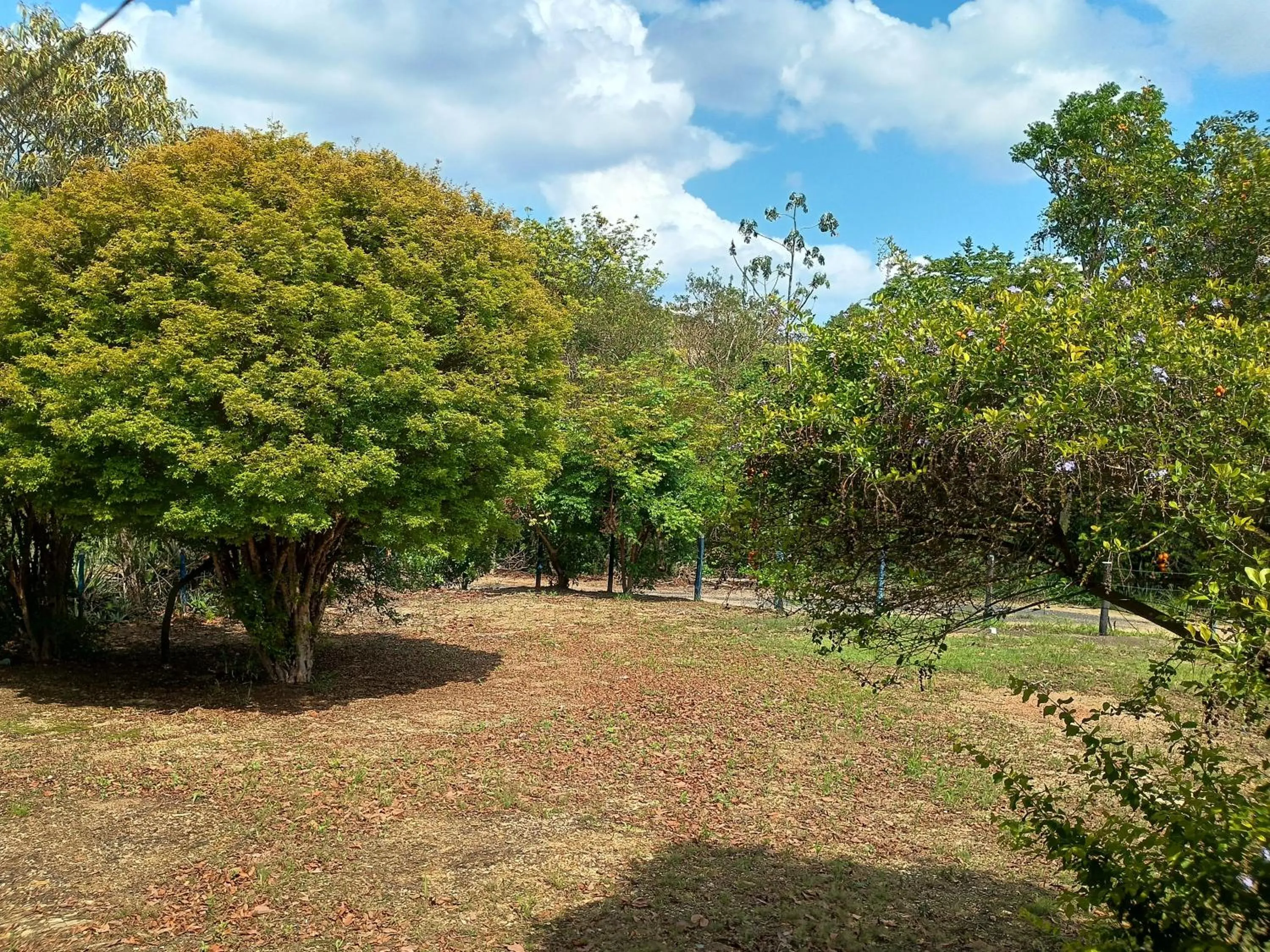 RANCHO PÉ DA SERRA