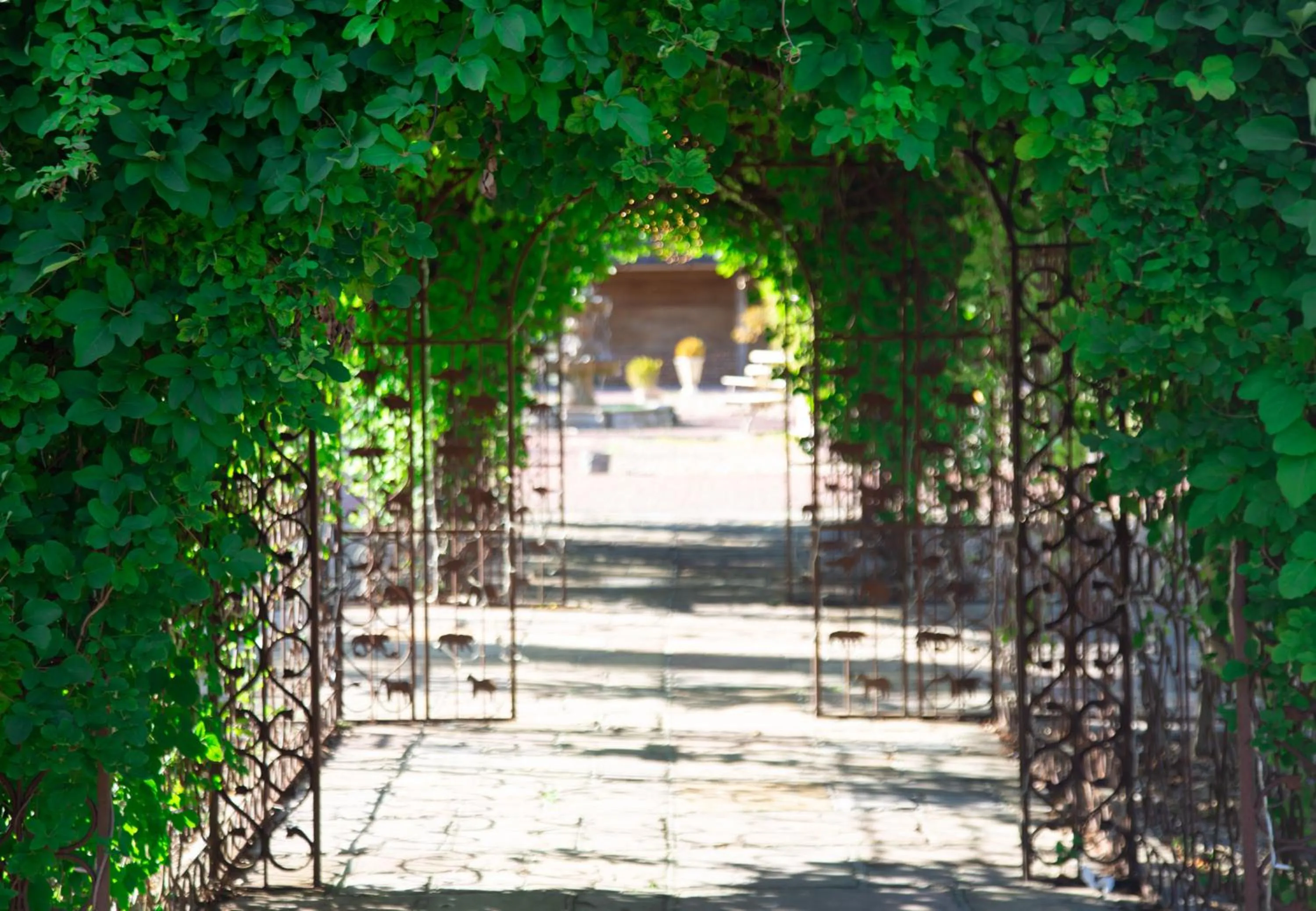 Day in Trading Boundaries