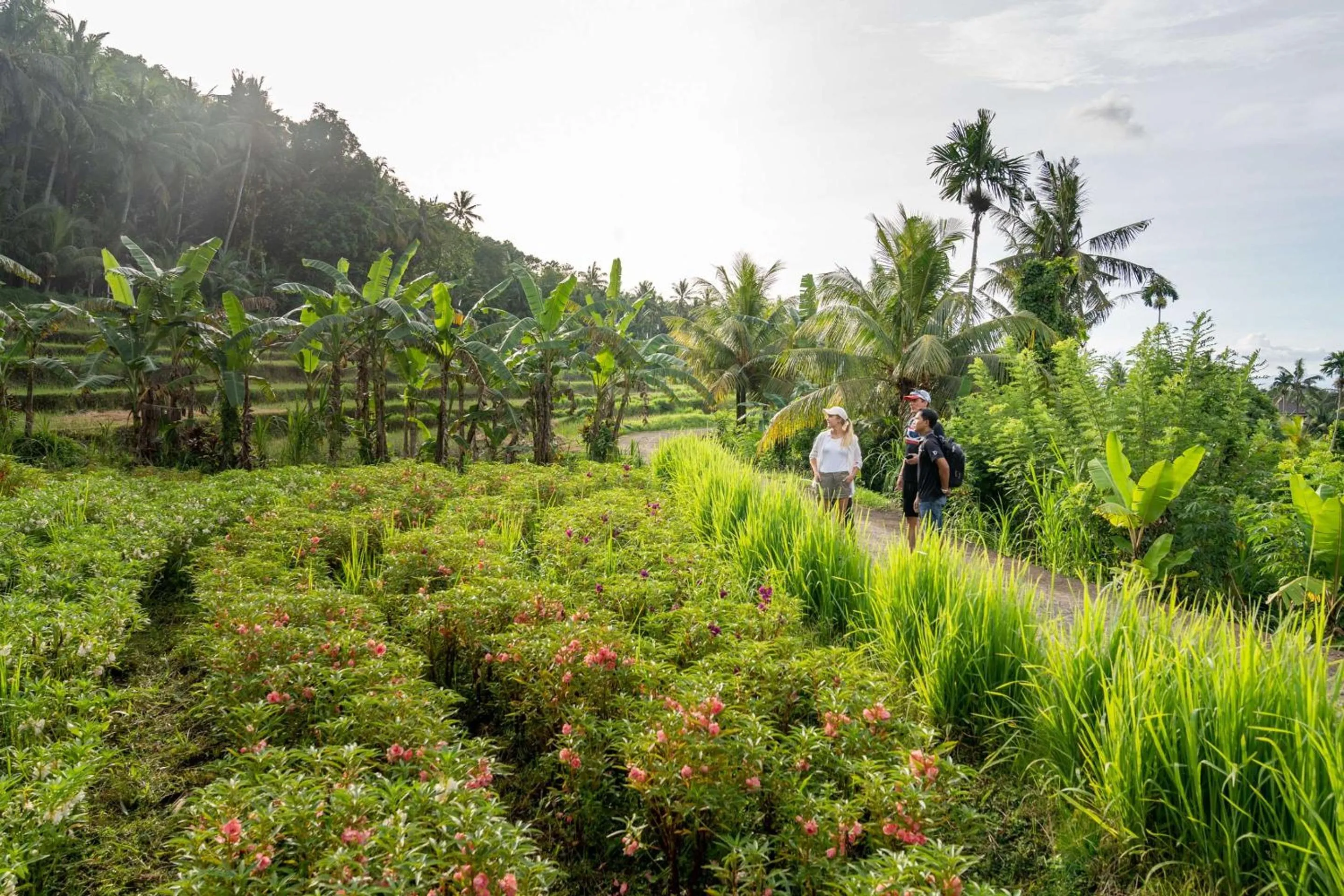 Activities in Kaura Bali