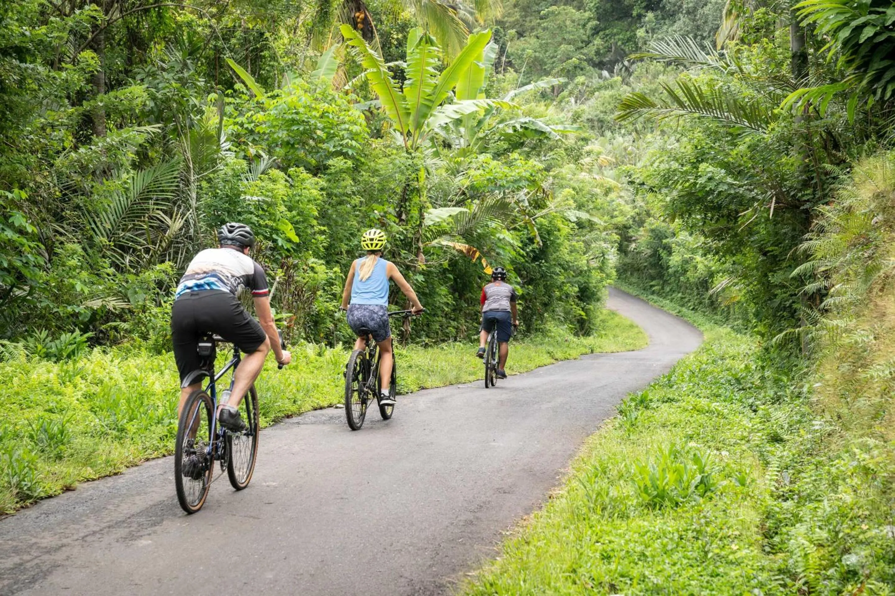 Activities in Kaura Bali
