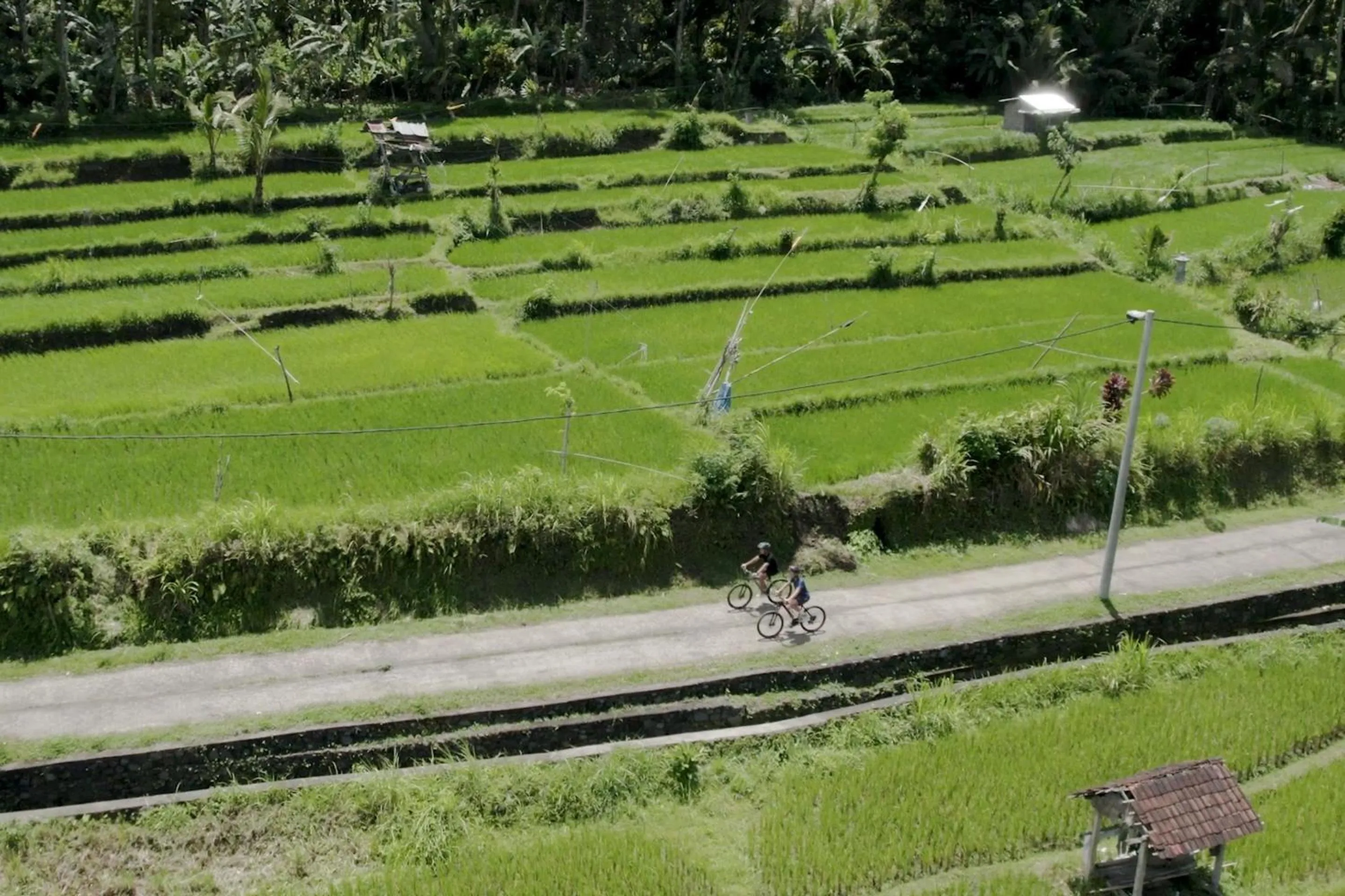 Activities in Kaura Bali