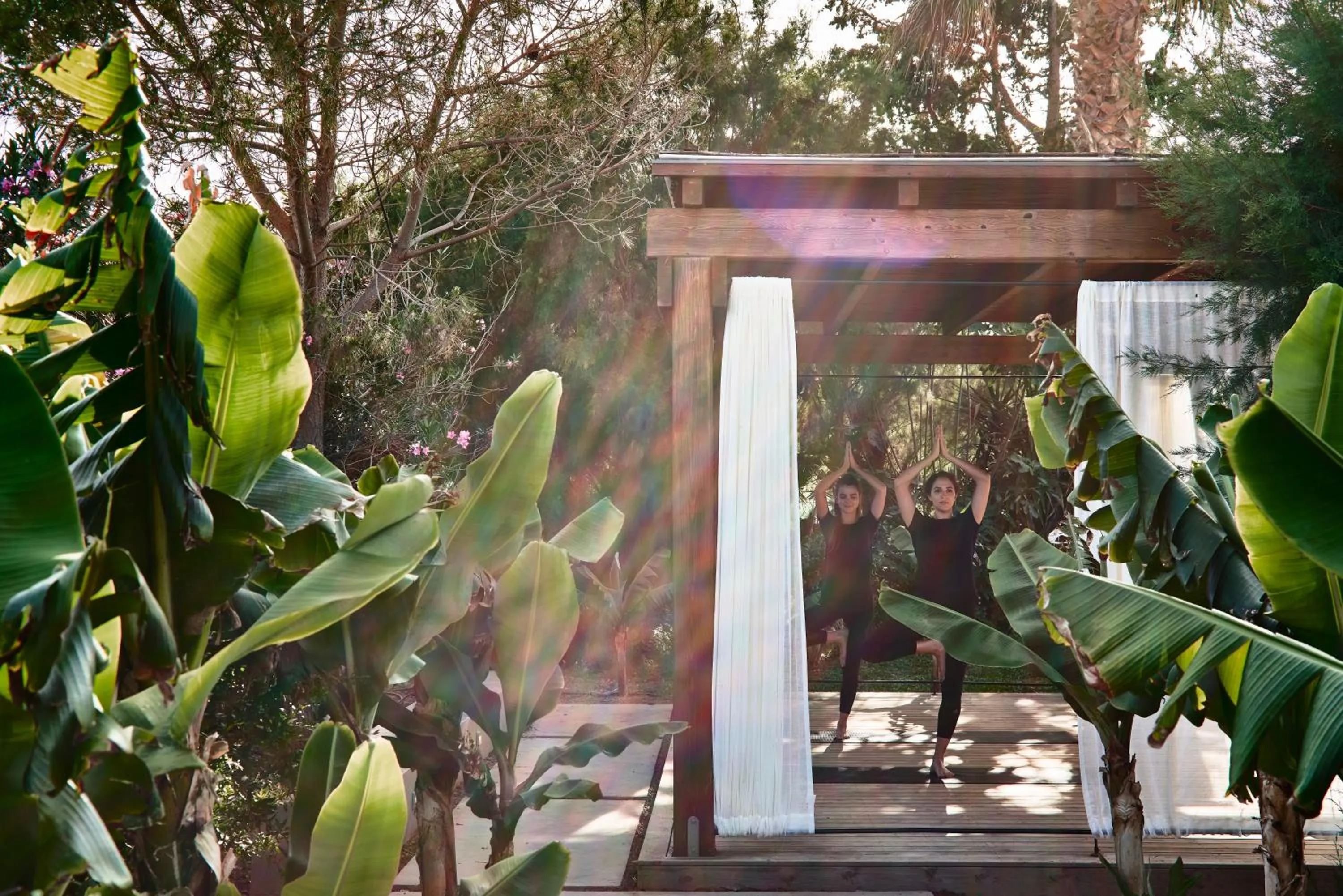 Spa and wellness centre/facilities in Phāea Cretan Malia, a Member of Design Hotels