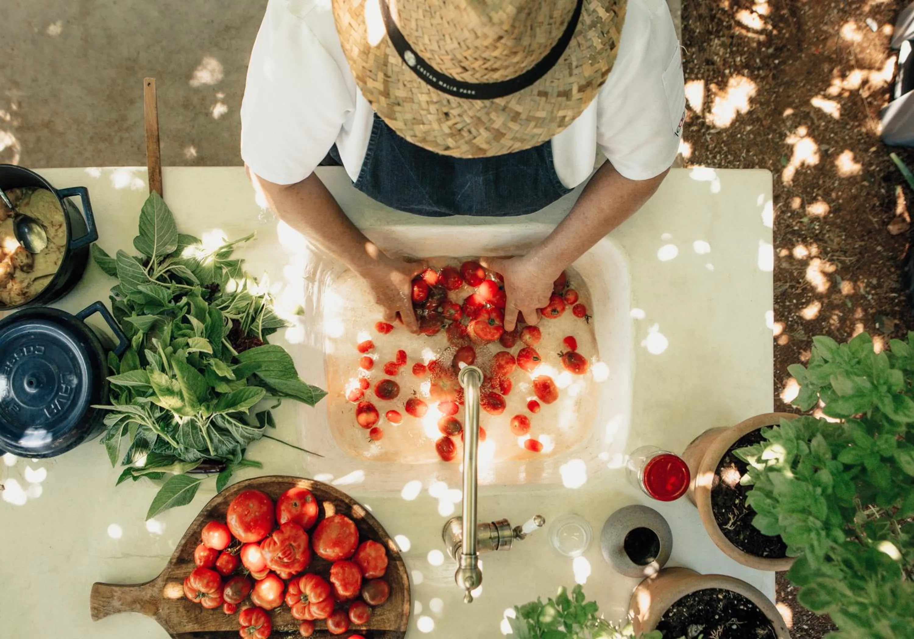 Restaurant/places to eat in Phāea Cretan Malia, a Member of Design Hotels