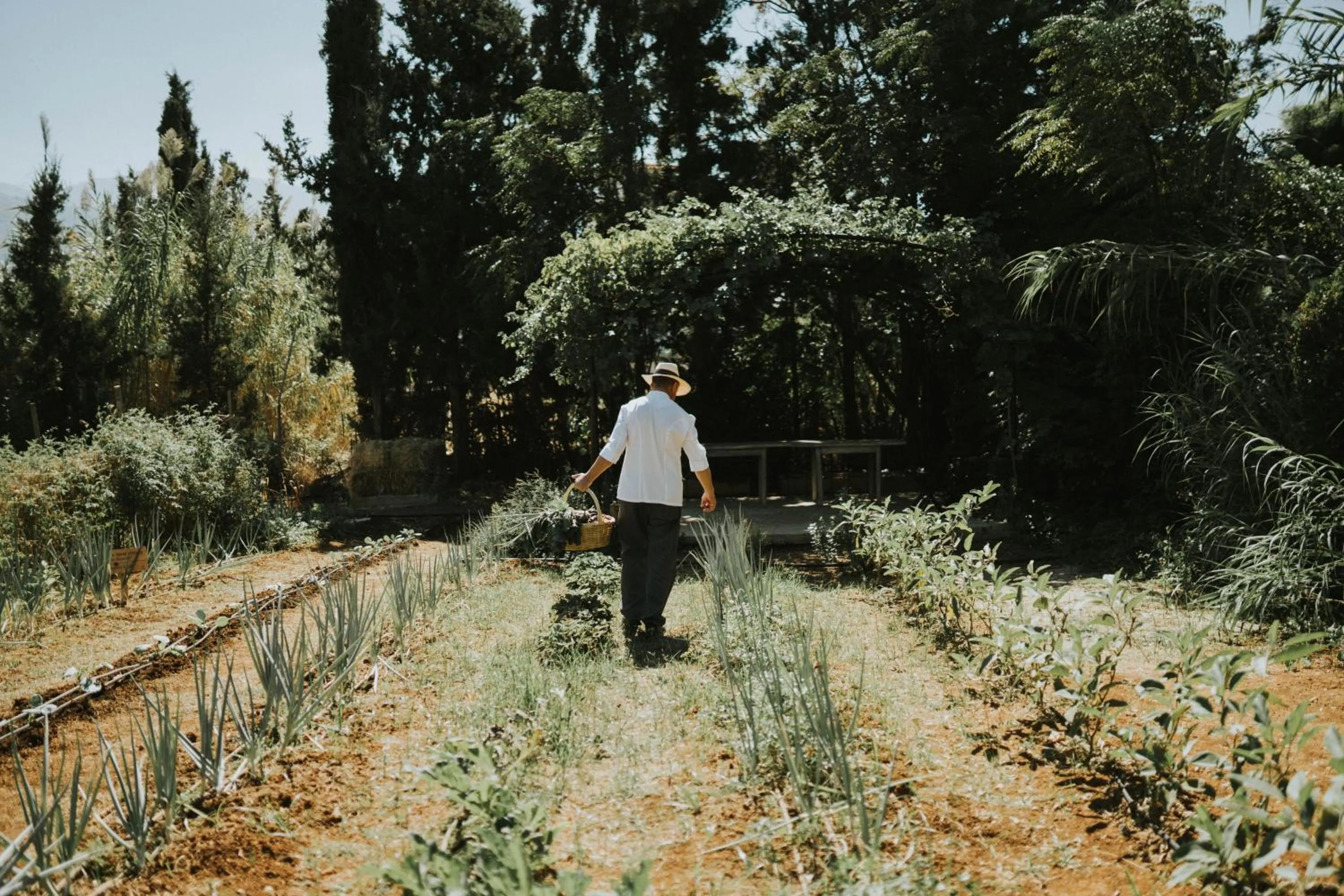 Phāea Cretan Malia, a Member of Design Hotels