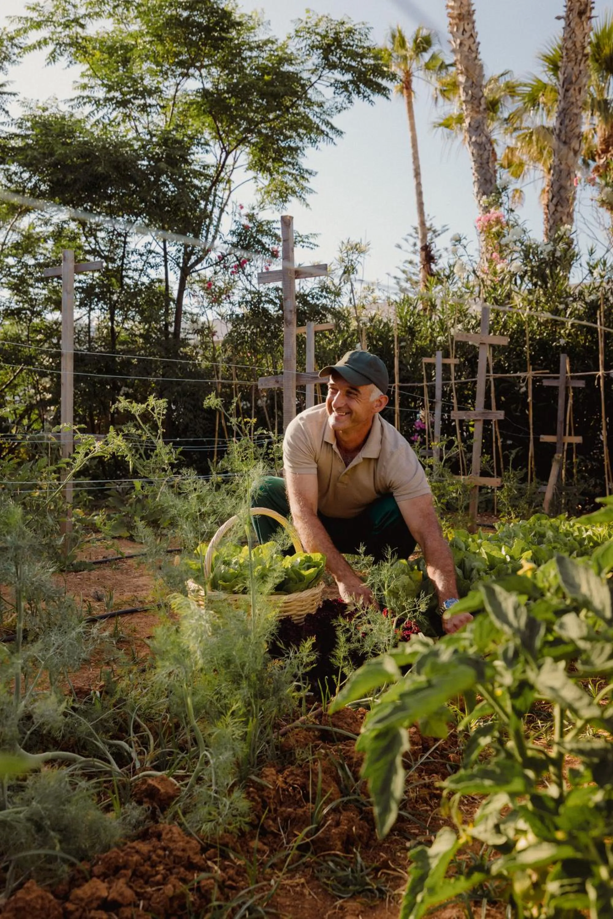 Garden in Phāea Cretan Malia, a Member of Design Hotels