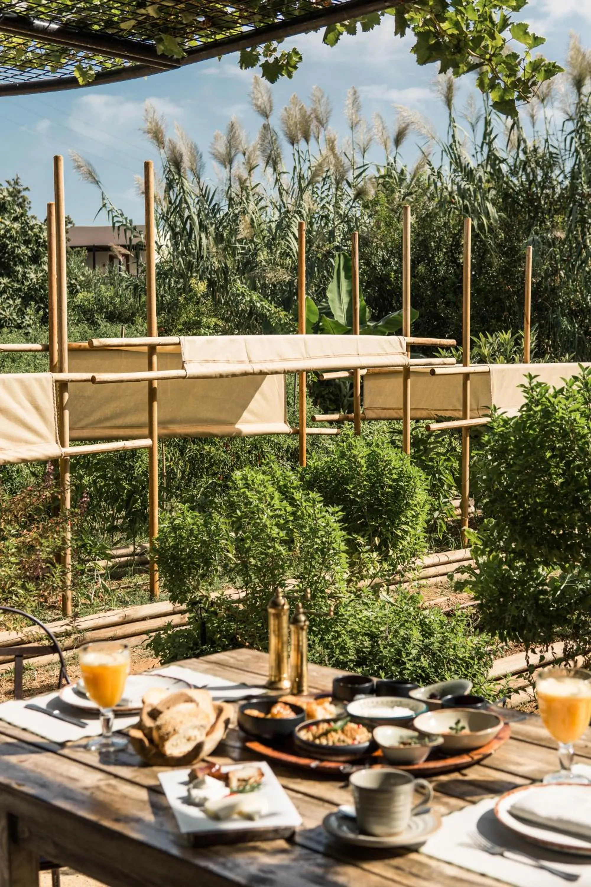 Breakfast in Phāea Cretan Malia, a Member of Design Hotels