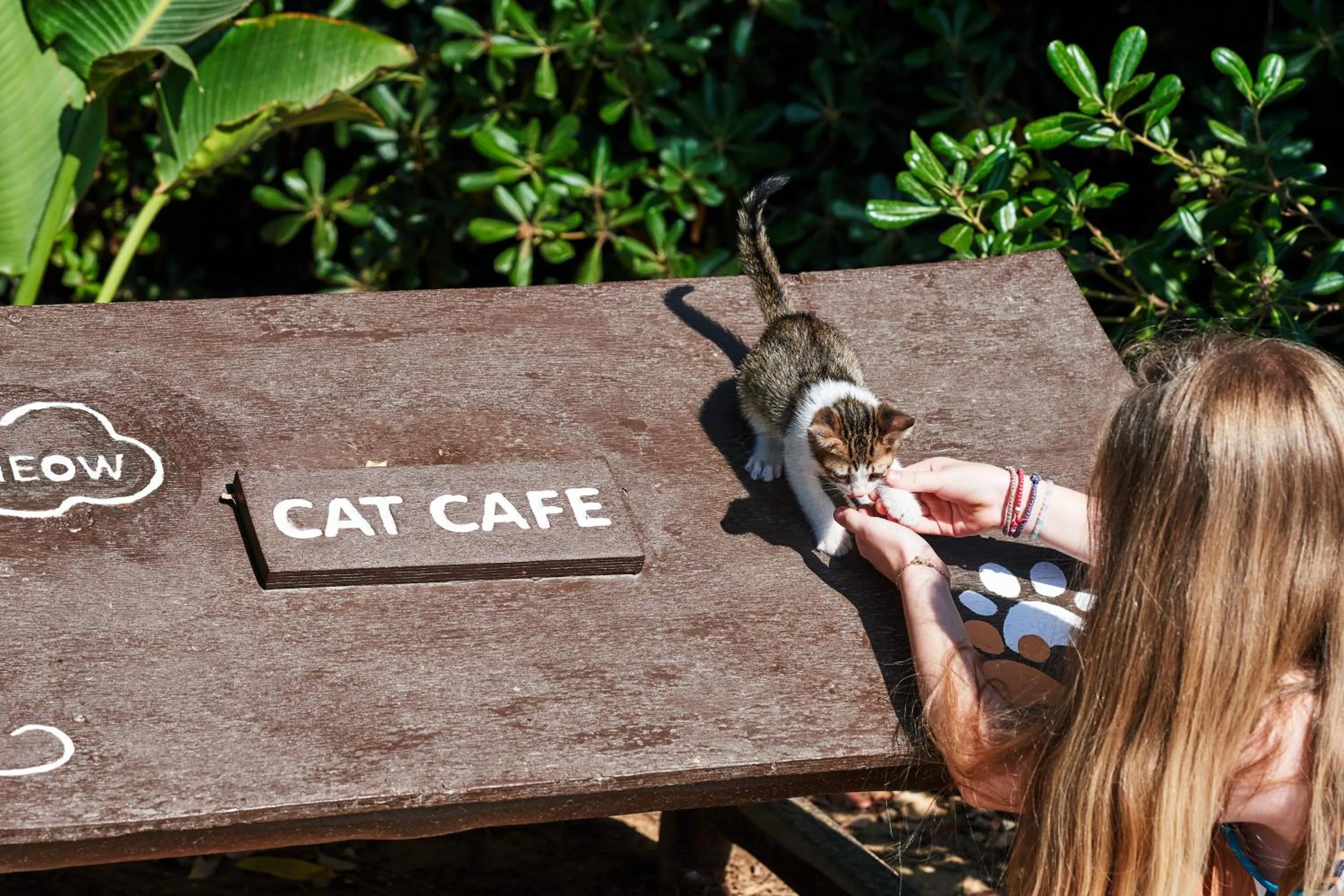 Pets in Agapi Beach Resort Premium All Inclusive