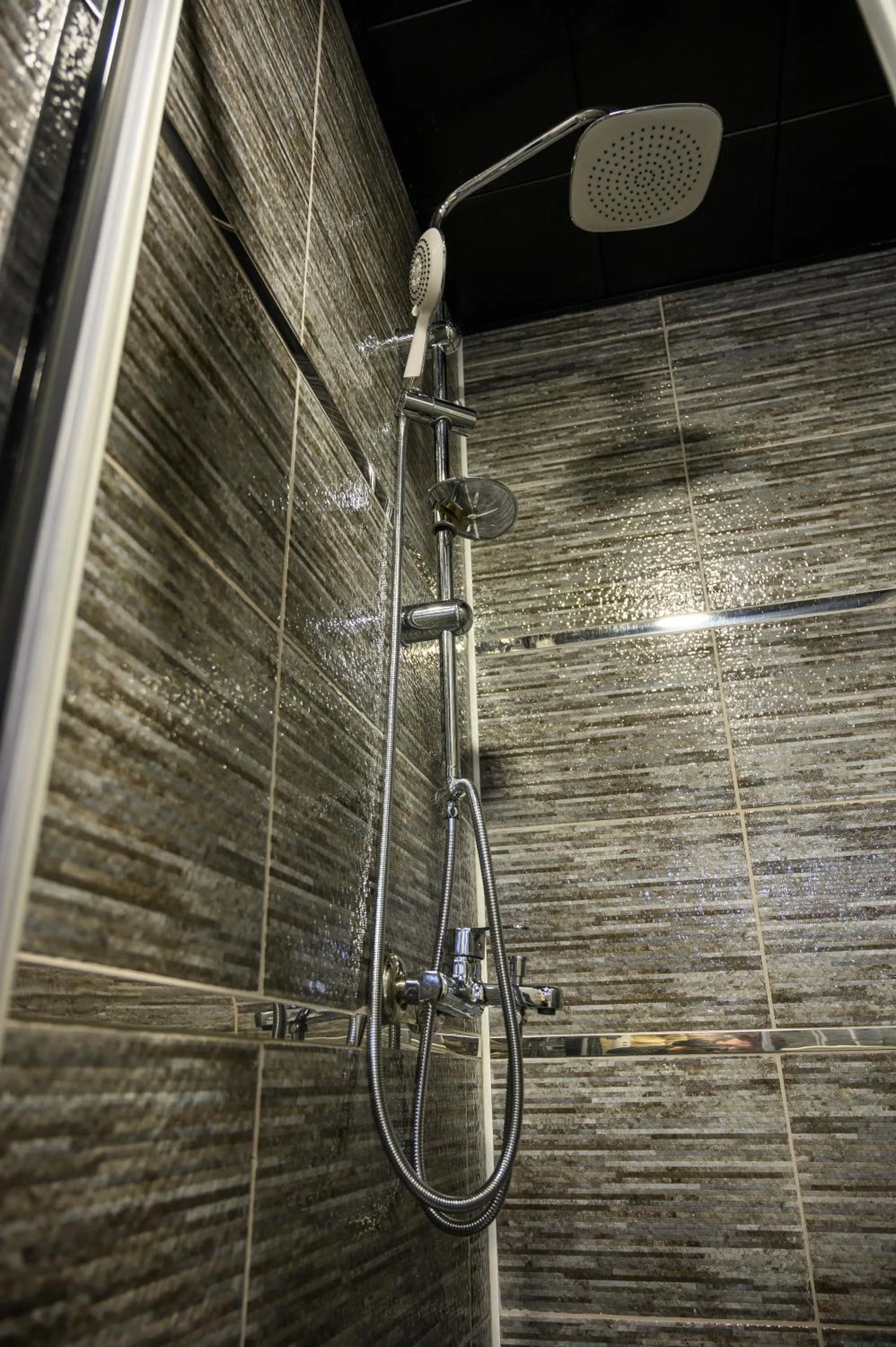 Shower in DS REGULUS