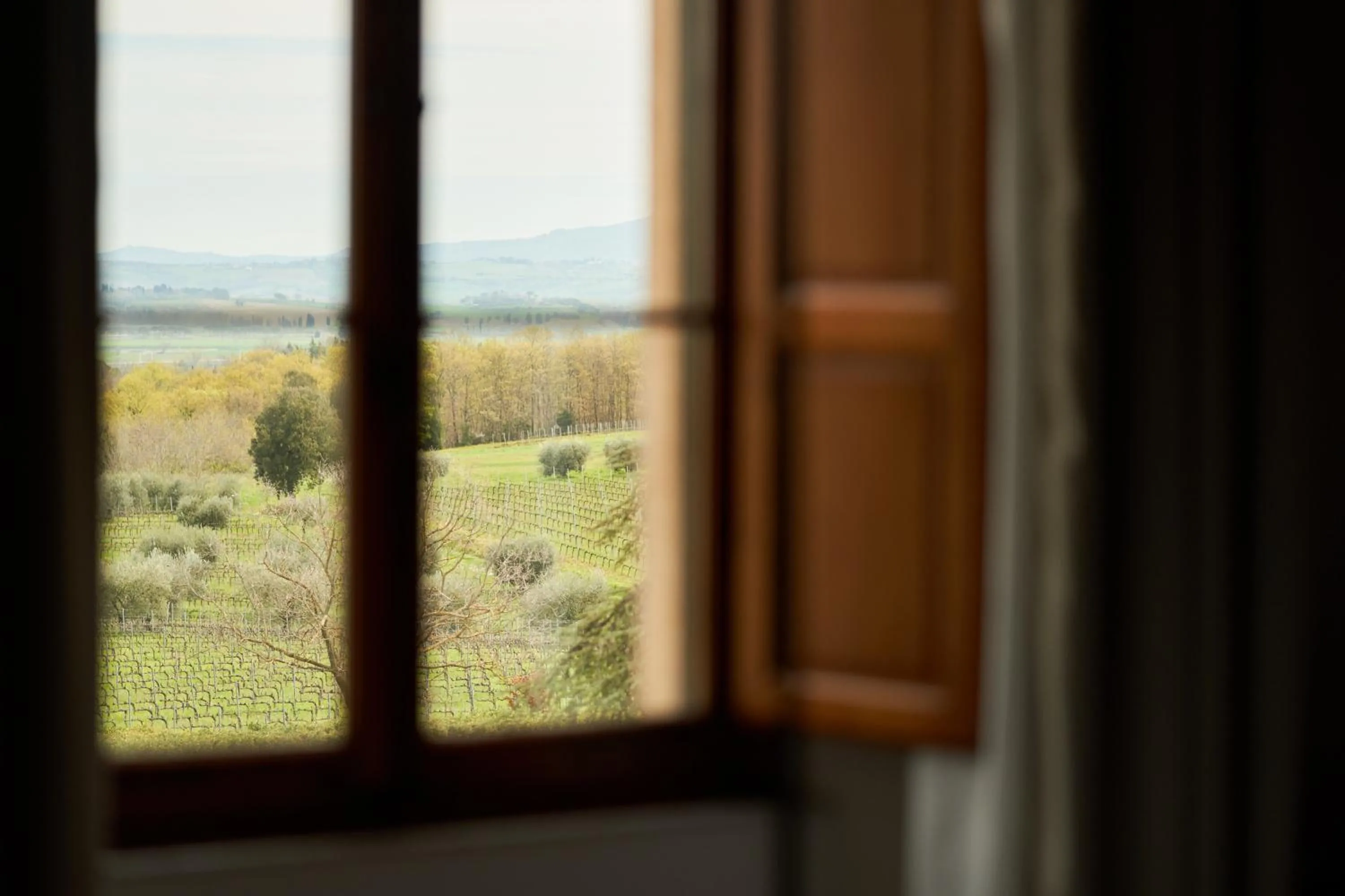 View (from property/room) in Precise Tale Poggio Alla Sala