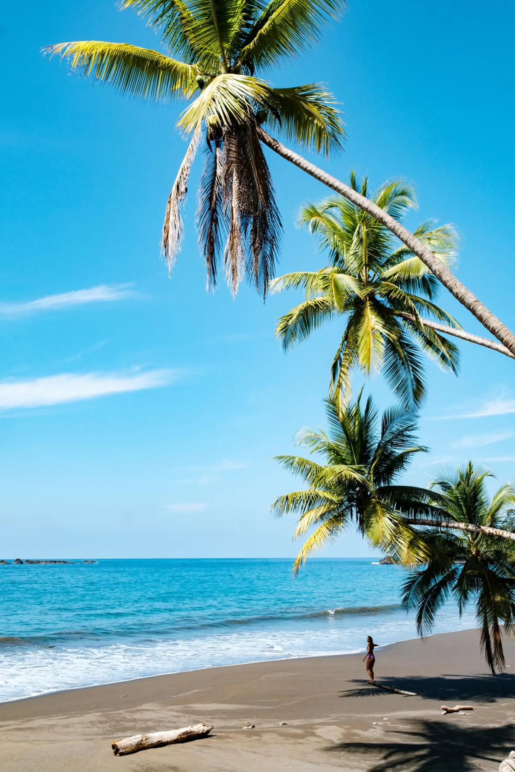 Day in Corcovado Wilderness Lodge by SCP