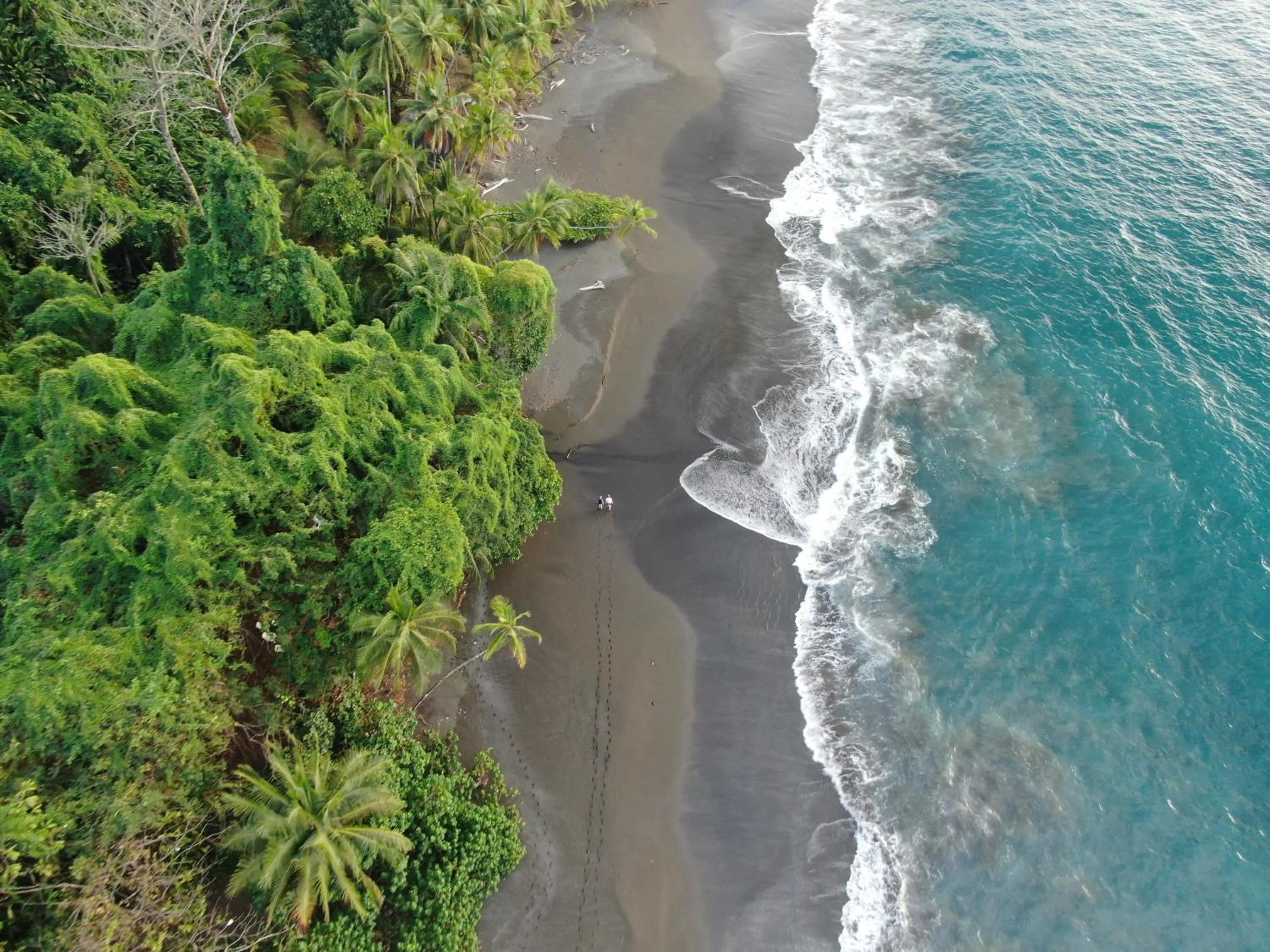 Sea view in Corcovado Wilderness Lodge by SCP