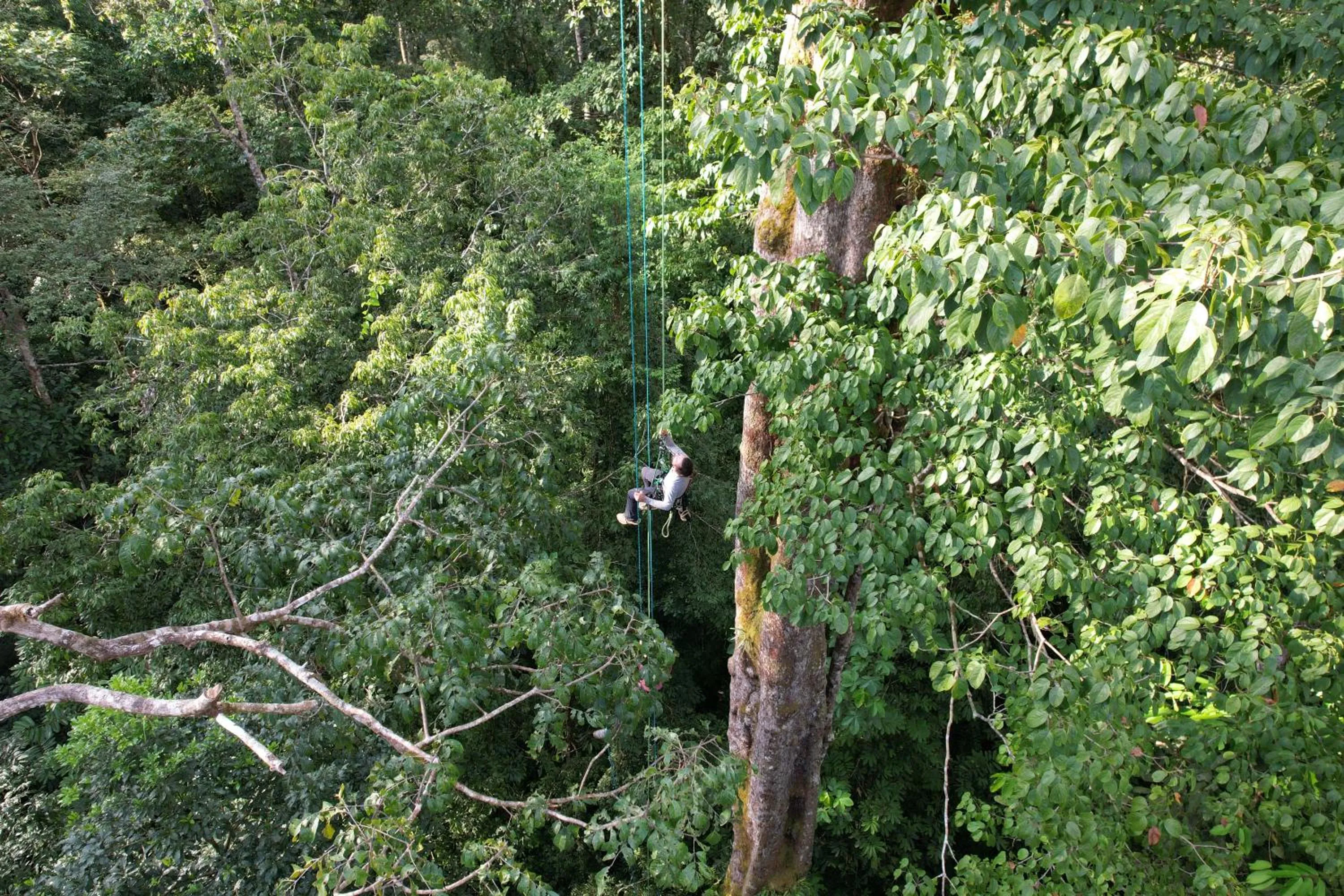 Activities in Corcovado Wilderness Lodge by SCP